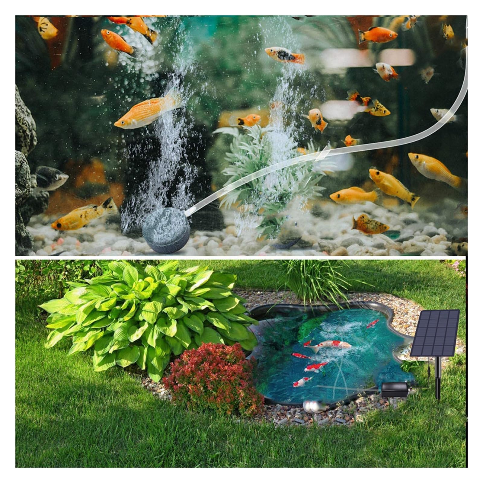 Fontana Solare da Giardino Esterno, 6V 2W Pannello solare Pompa dell'acqua Ossigenatore ad energia solare 0.8L / min Pompa dell'ossigeno dell'aria Aeratore Senza batteria for la decorazione del paesag