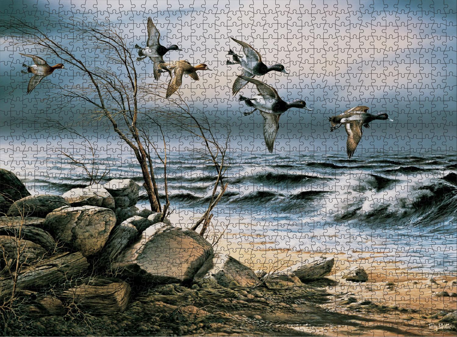 1000 Pieces Puzzles for Adults - Terry Redlin -Bluebill Point Funny Puzzle Unique Difficult and Challenge Large Puzzle Game Toys Gift