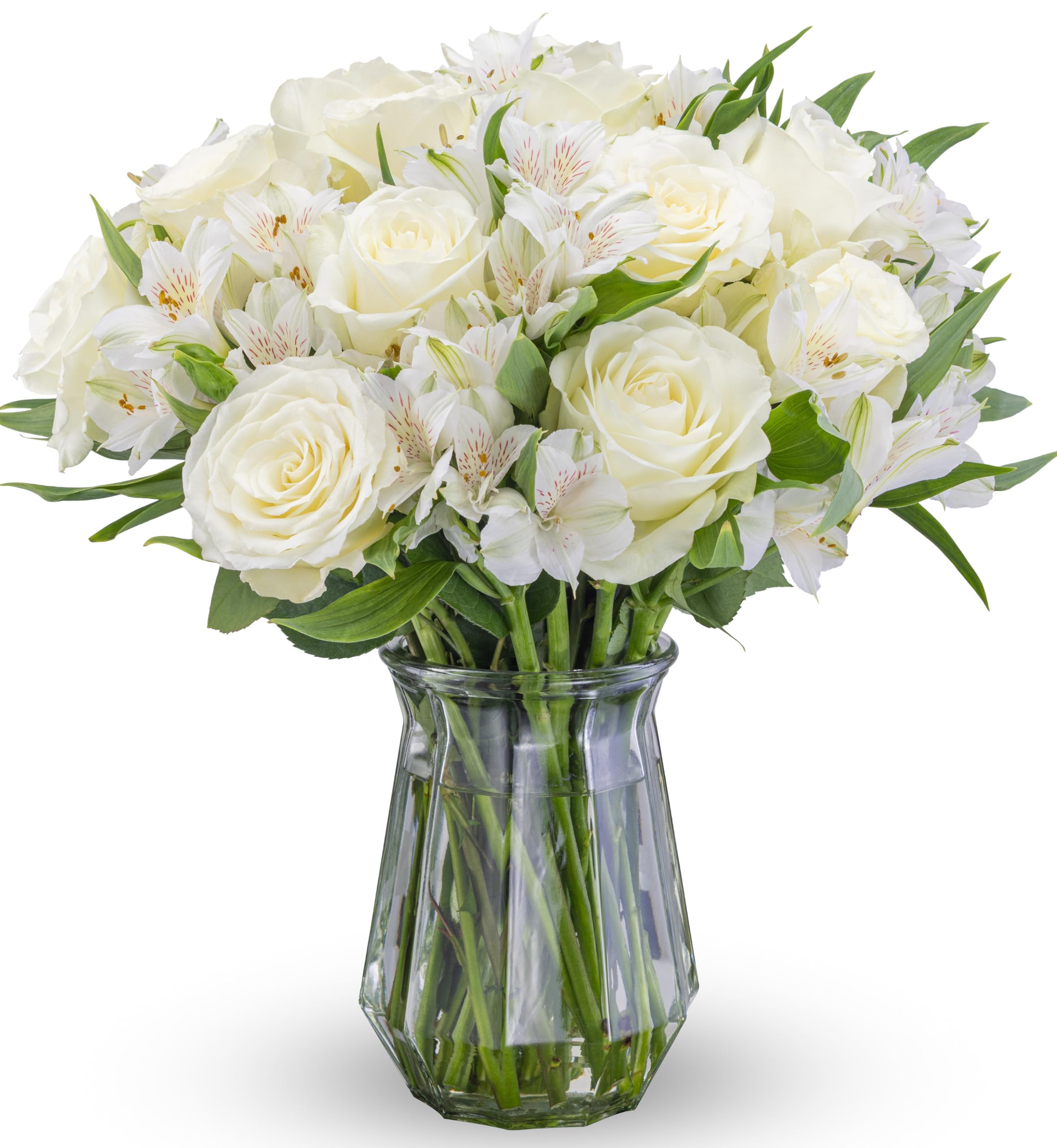 Benchmark Bouquets - Elegance Roses & Alstroemeria (Glass Vase Included) - Fresh Flowers for Next Day Delivery - Gift for Birthday, Anniversary, Sympathy, Get Well, Valentine's Day, Wedding