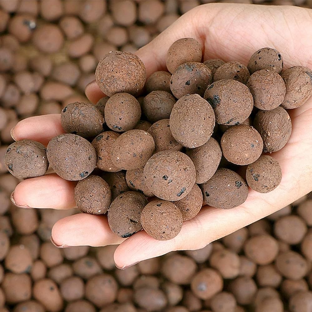 Transseksual eshakdagi busty qizni sikadi