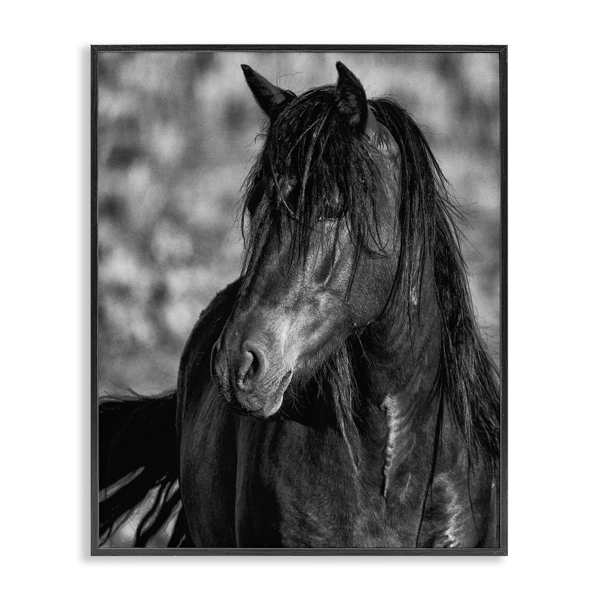 Stupell Industries 'Beauty In Black', Framed Giclee Art, Black, 11 x 14 Inches, Easy to Hang and Sturdy, Made in USA, by Tim West