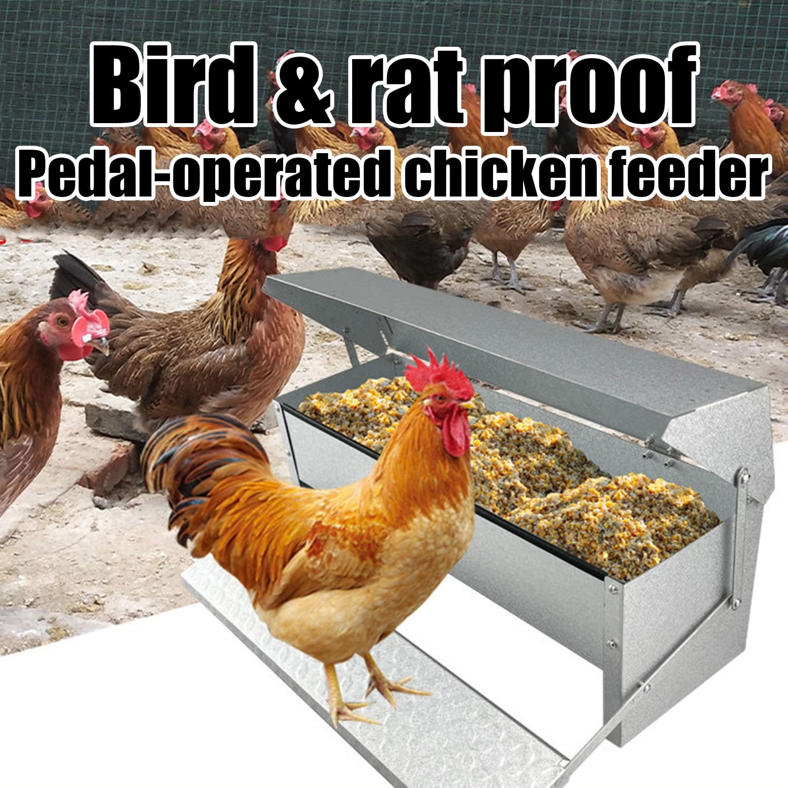 Mangiatoia Automatica A Pedale Per Polli, Alimentatore Metallico Anti-spreco E Anti-roditori, Coperchio Resistente Alle Intemperie Per Uso Esterno, Galline Nane