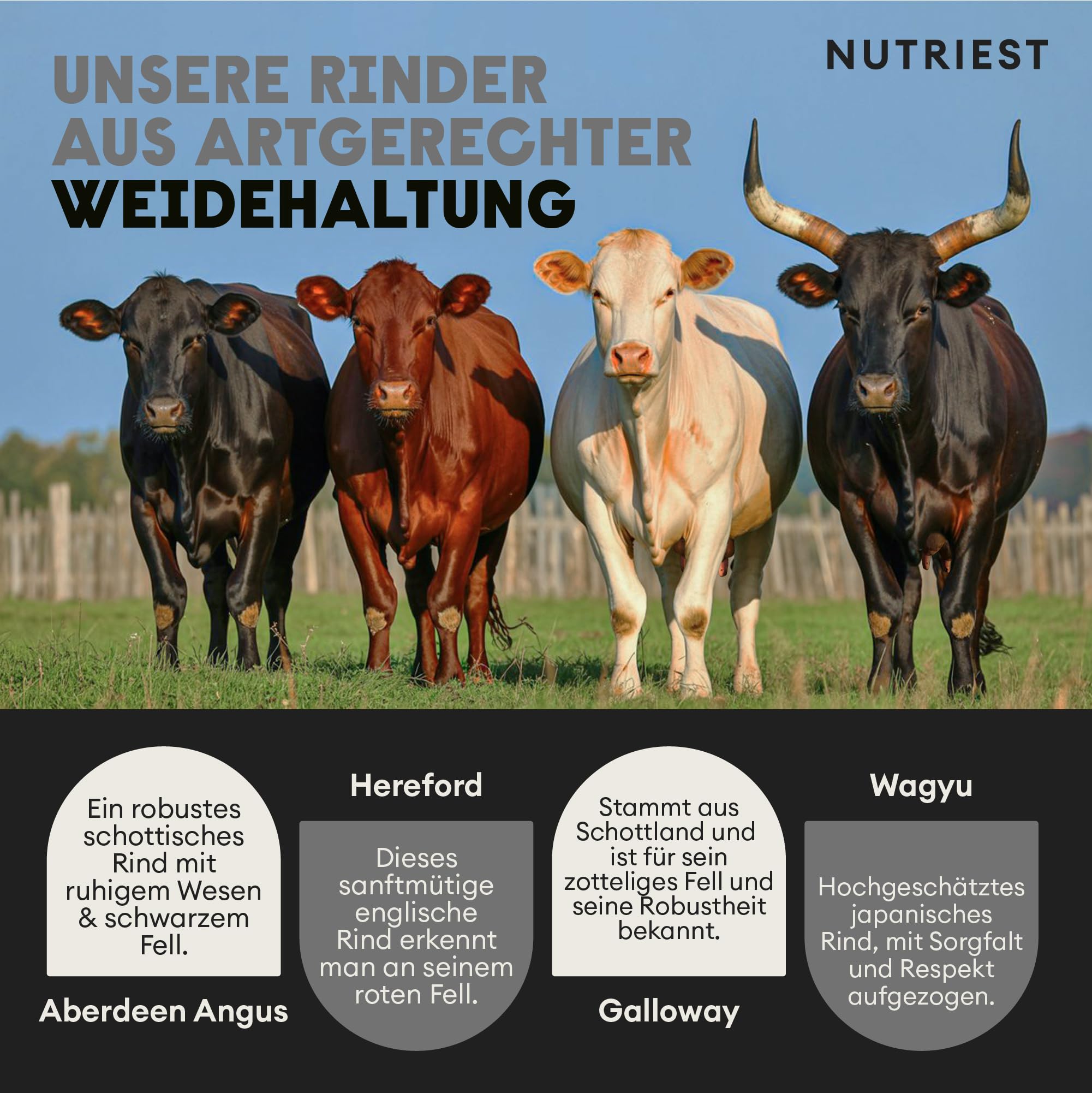 Nutriest Whey Protein Pulver (1kg) – Bio Whey Protein aus Europa | 100% Weidehaltung | Eiweißpulver mit hohem Proteingehalt | Für Shakes & Fitness