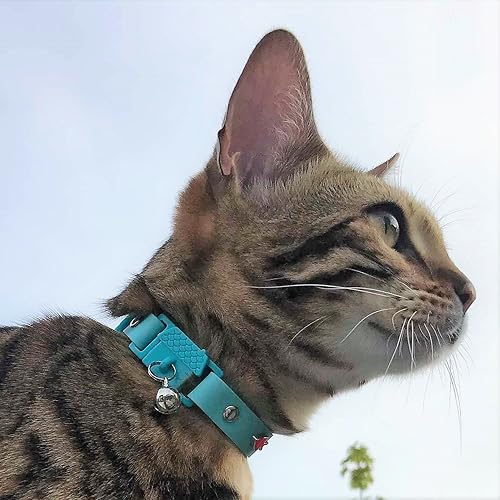 Vista 4 de Kittyrama Collar de gato Aqua con campana, ganador del premio, aprobado por veterinarios, liberación rápida, ligero y cómodo