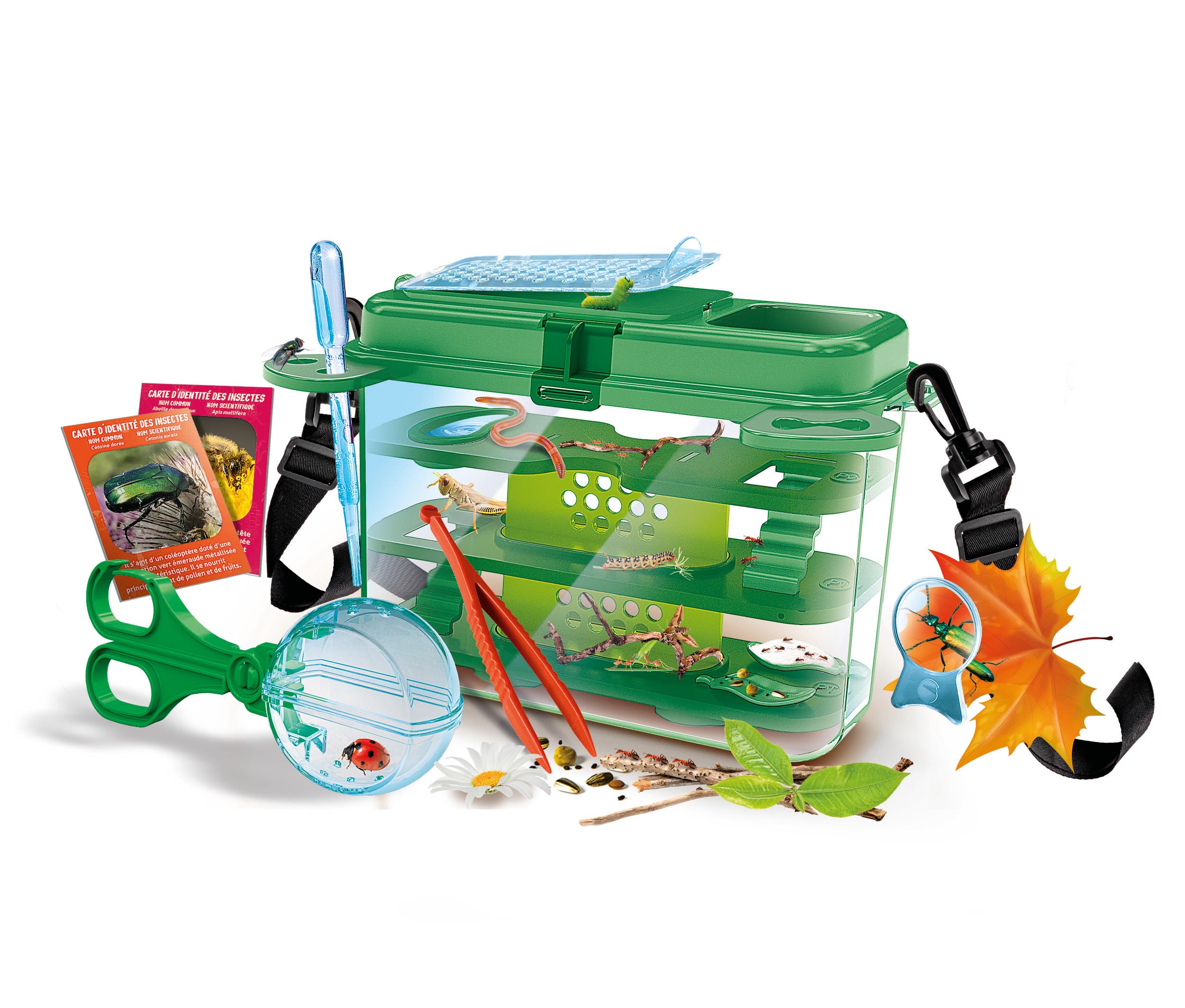 Clementoni Galileo Lab Insekten-Forscher-Set - Tragbare Insektenstation mit Faunabox, Lupe & Zubehör - Insekten beobachten, pflegen & schützen - Experimentierset von Clementoni 59440