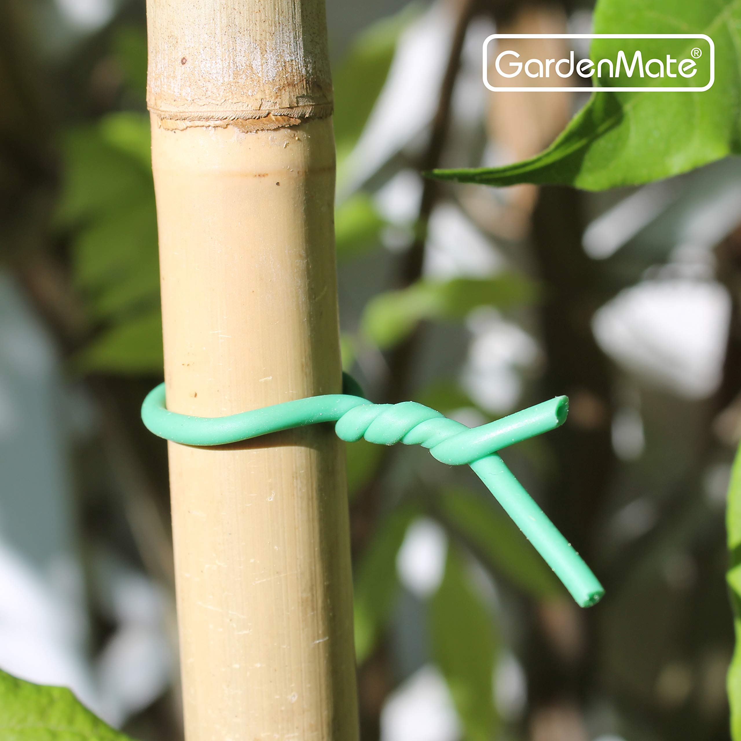 GardenMate Lot de 12 bobines Lien de tuteurage 2,5mm x 10m pour Plantes et arbustes - Acier et Caoutchouc