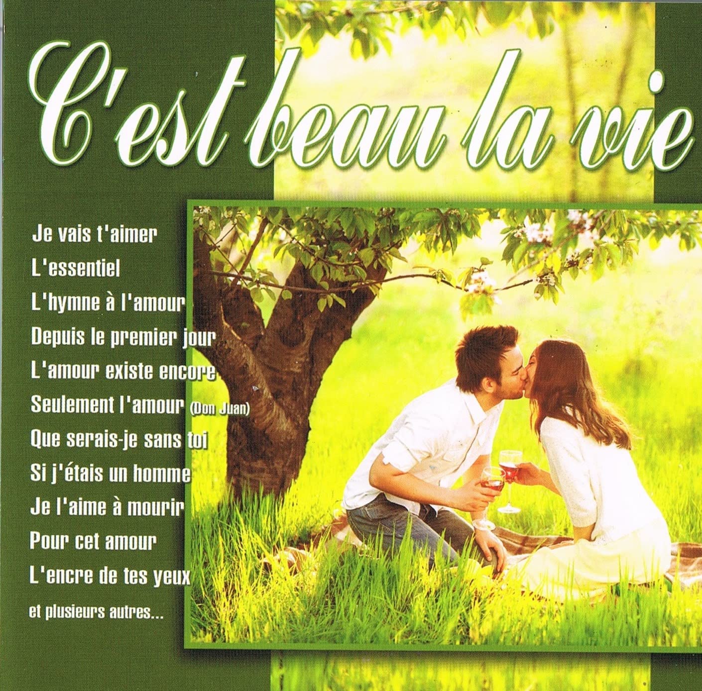 C'Est Beau La Vie (Compilation) [Audio CD] Variés and Caroline Laurendo, Yvan Pion, France Dallaire, Dany Geffrey, Richard Savignac