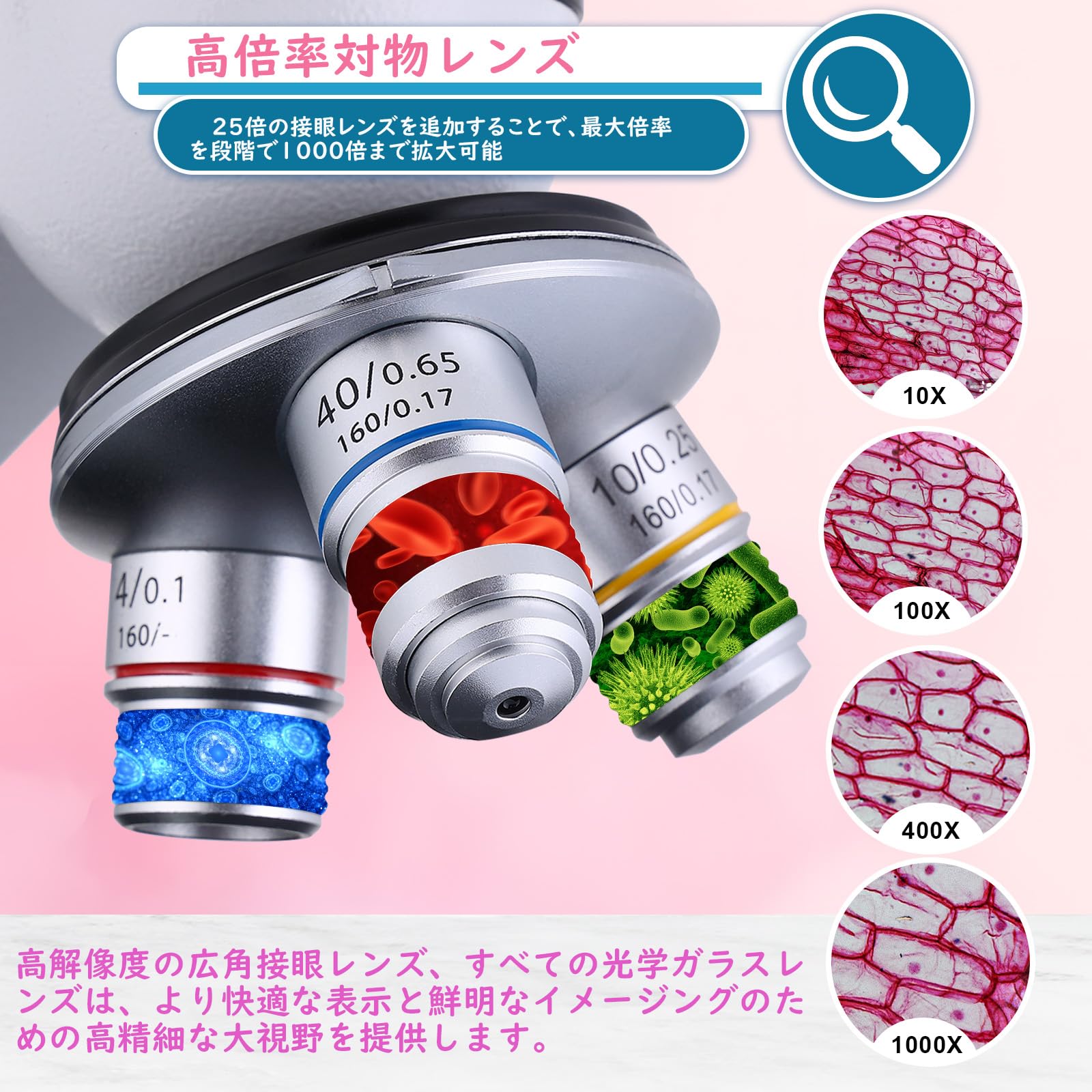 Amazon.co.jp: Misoterm、顕微鏡、40-5000倍、拡大率、大人、学生