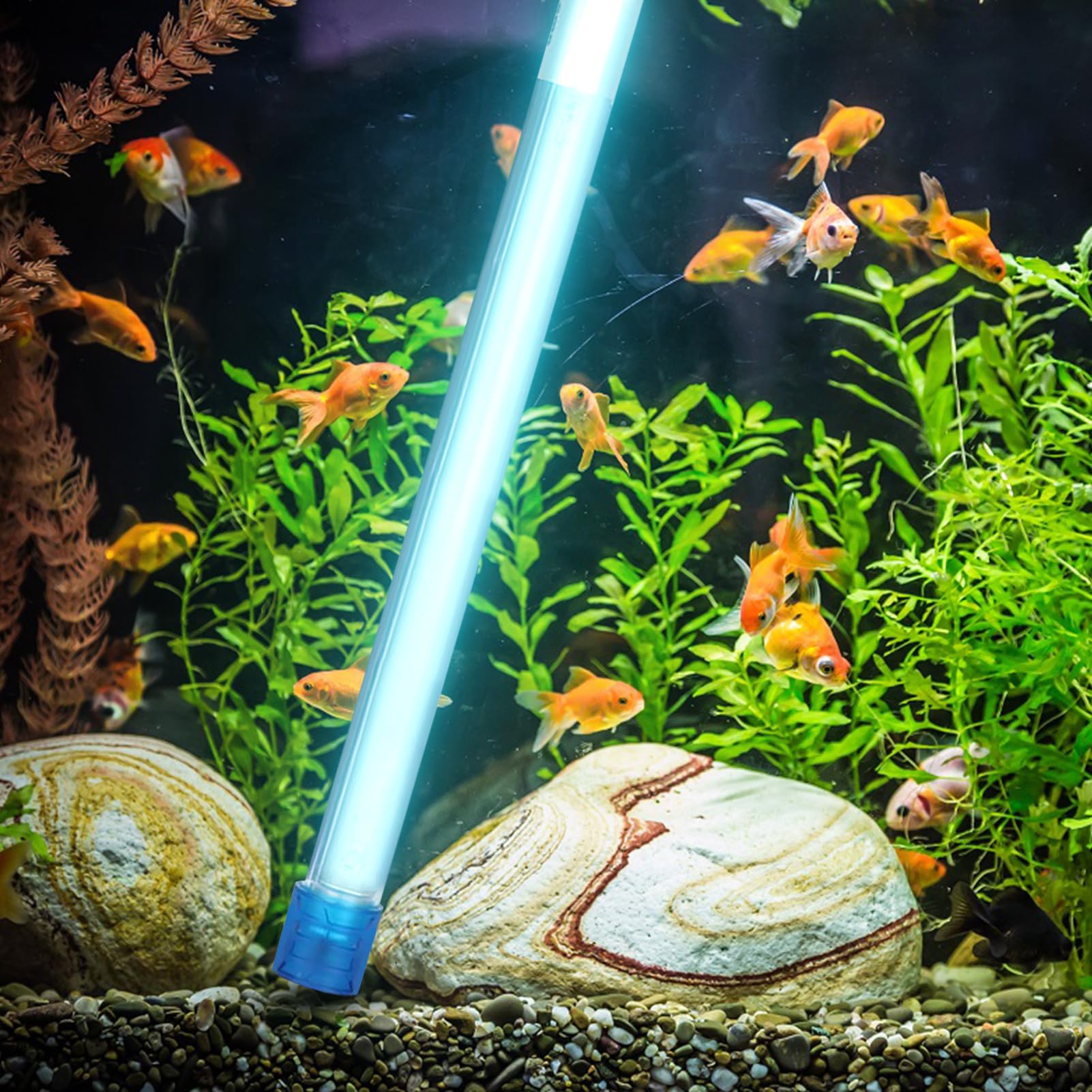 Lampada Che Uccide i batteri delle alghe a Luce UV, Luce disinfettante UVC Portatile, Acquario sommergibile (Spina Europea)(11W)