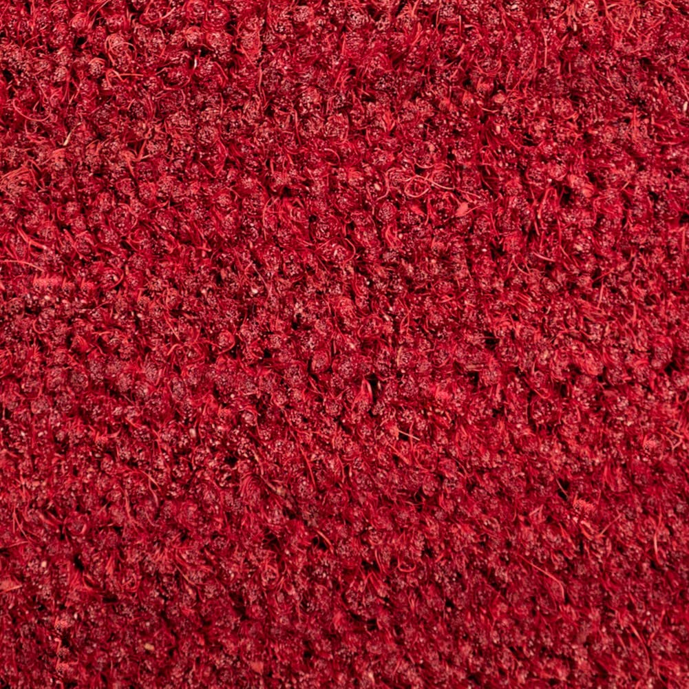 MadeInNature Tappetino d'ingresso in cocco | Zerbino in fibra di cocco naturale - effetto detergente | Dimensione e colore a scelta (rosso, larghezza 80 cm x lunghezza 100 cm x altezza 17 mm)