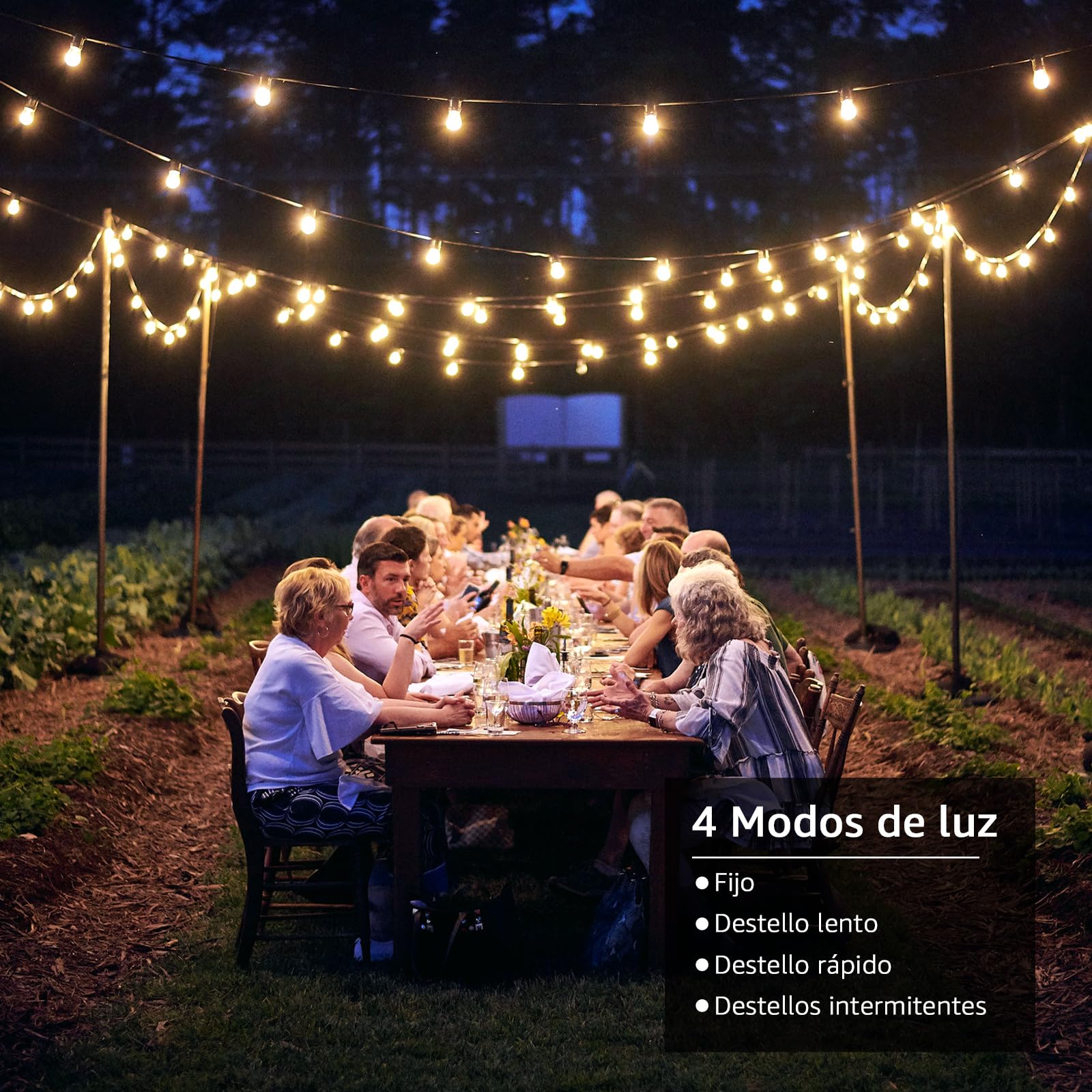 Lepro Guirnaldas Luces Exteriores Solar USB, 25+1 LEDs Bombillas G40, 7.62m | Cadena de Luz Solar, 4 Modo 2700K Guirnaldas Luminosas, IP65 Impermeable Decorativas para Jardín, Terraza, Patio, Fiesta