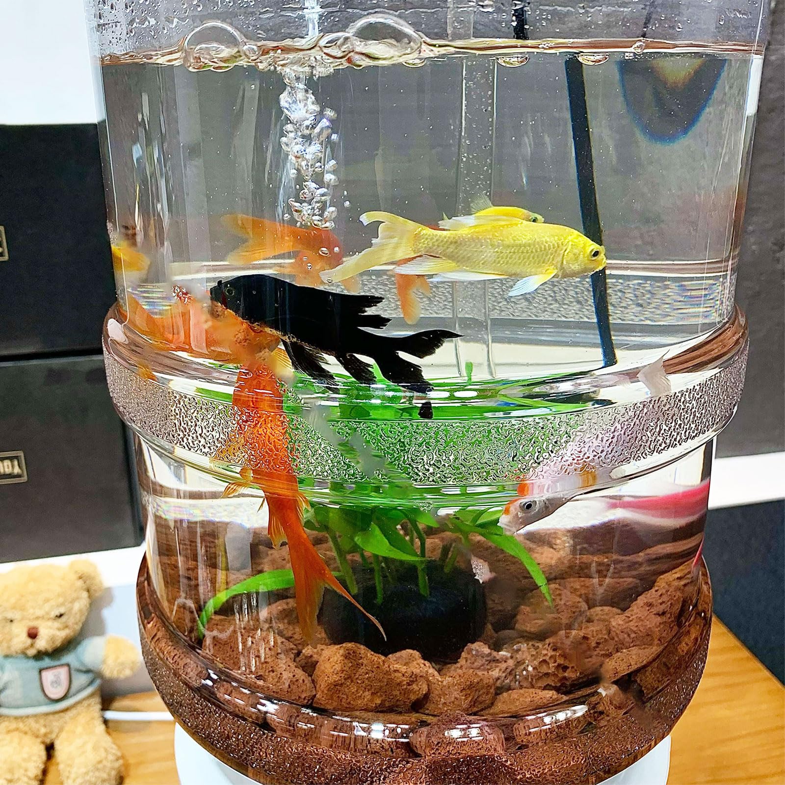 Pecera, Kit De Acuario 20 Litros - Diseño De Válvula De Drenaje Inferior, Fácil De Cambiar El Agua Y Limpiar, Con Soporte, Cubo Para Acuario, Grifo, Bomba De Oxígeno, Filtr(Size:Acuarios y accesorios)