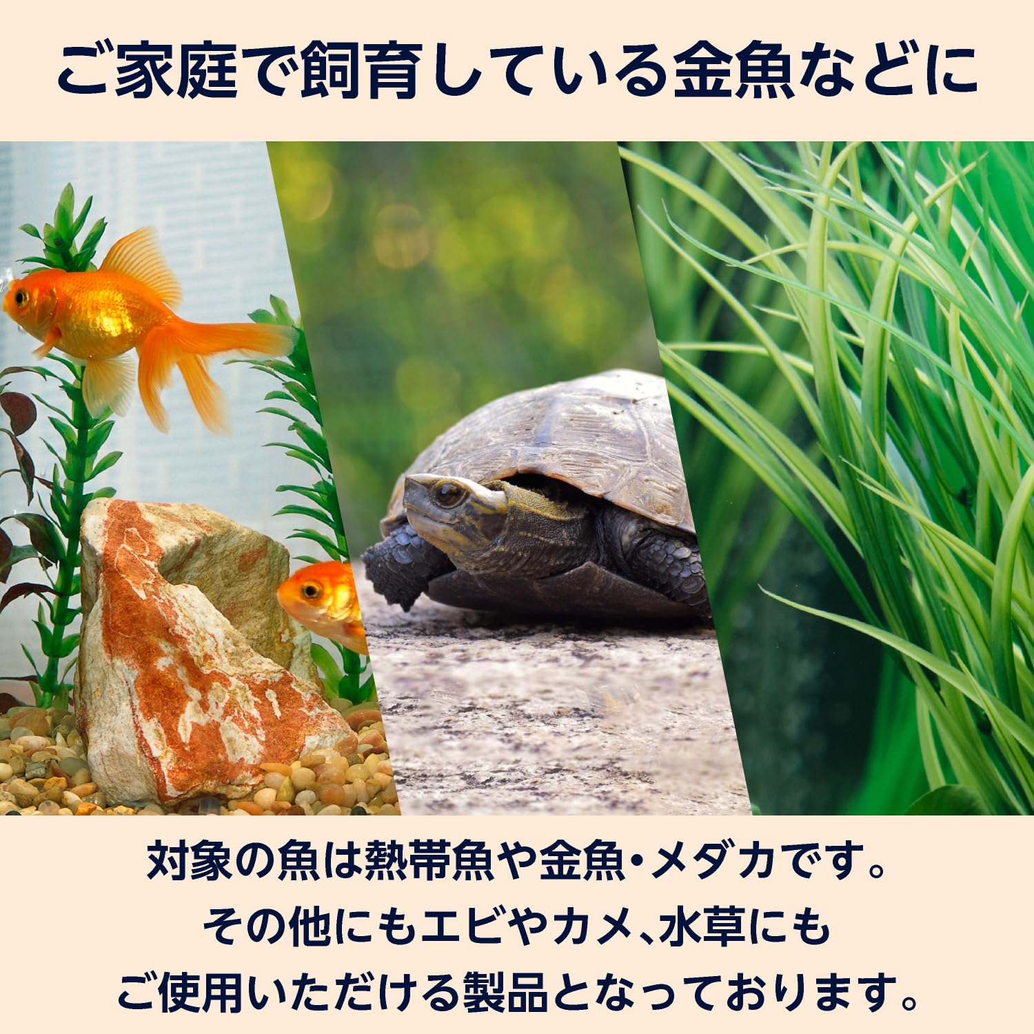 John 様へ　水質調整剤セット 4類 水質調整剤 水質管理用品」の人気商品一覧 | 安い商品を通販