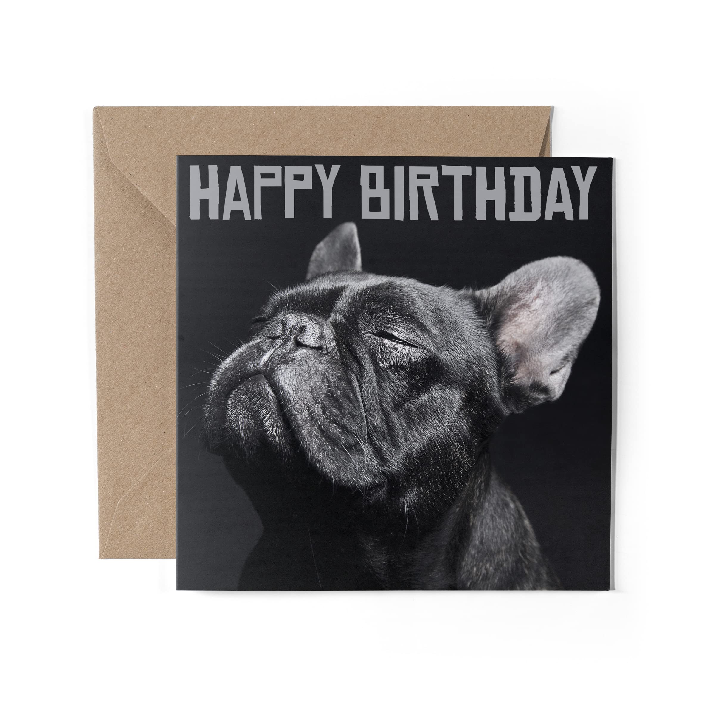 Cane Femminile Marrone Di Menzogne Sveglio Del Bulldog Francese Con Il Cappello Compleanno Ed Fondo Rosa Blu Bambino Motivo Della Image152141959