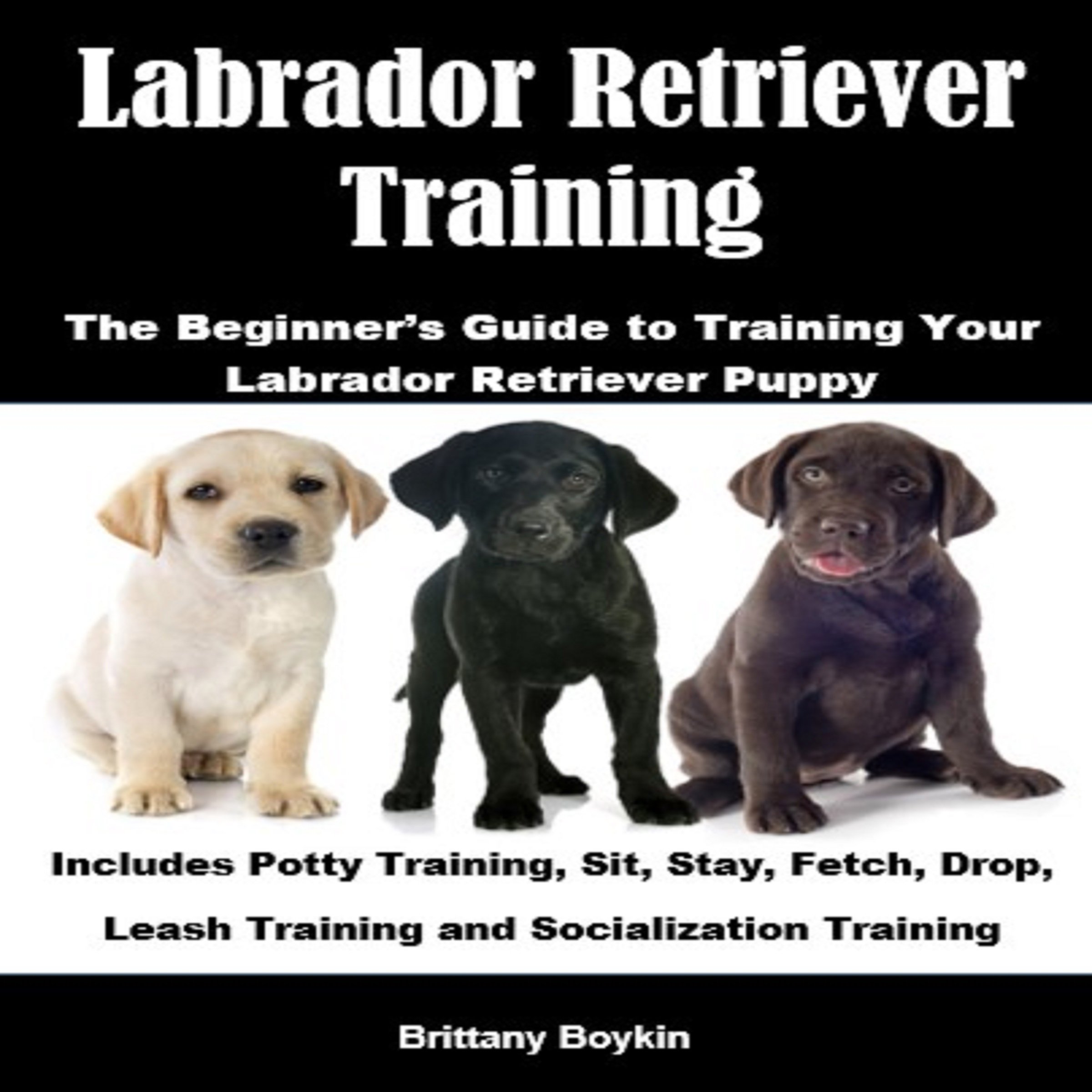 Cover art for Labrador Retriever Training: The Beginner's Guide to Training Your Labrador Retriever Puppy