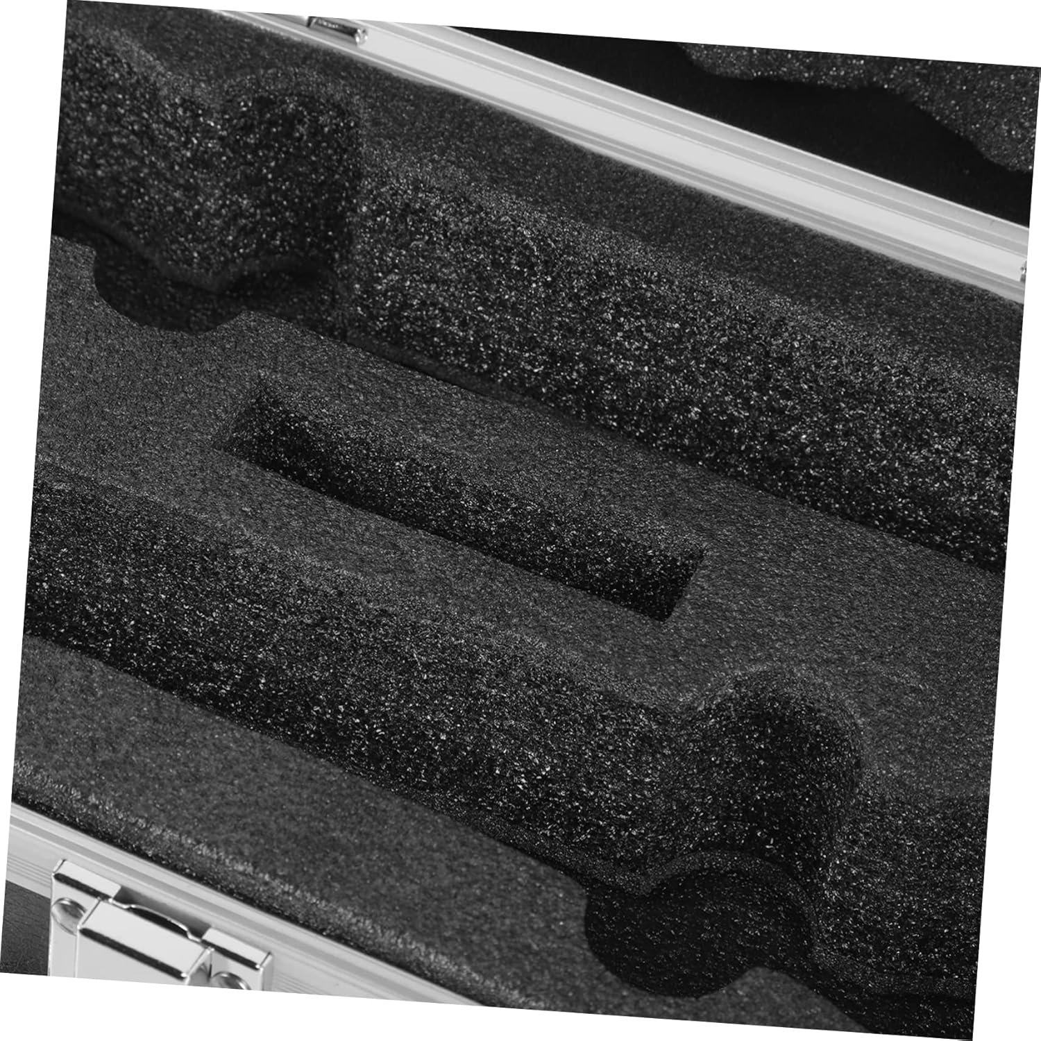 Microphone Case Professional Storage Holder for Wireless Mic Hard Shell Padded Travel-friendly
