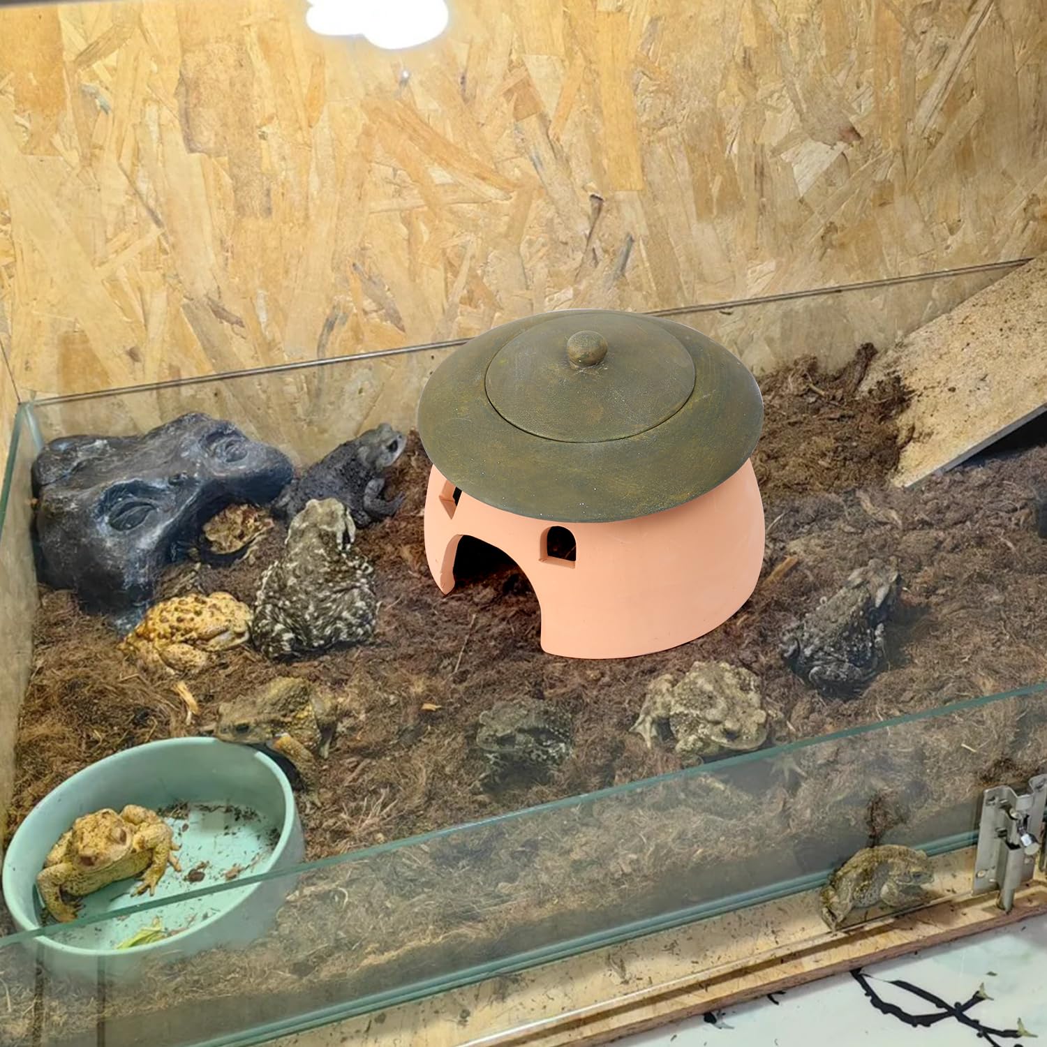 Terracotta Toad Outside Garden