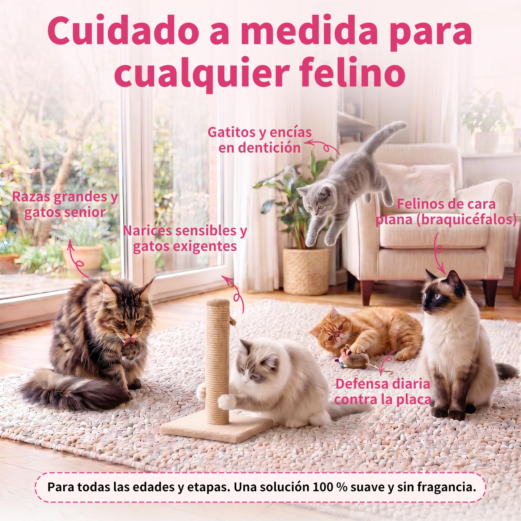 Pasta de Dientes Enzimática para Gatos - Kit Dental con Cepillo, Gel Sin Perfume contra la Placa y Mal Aliento, Previene el Sarro - 30g