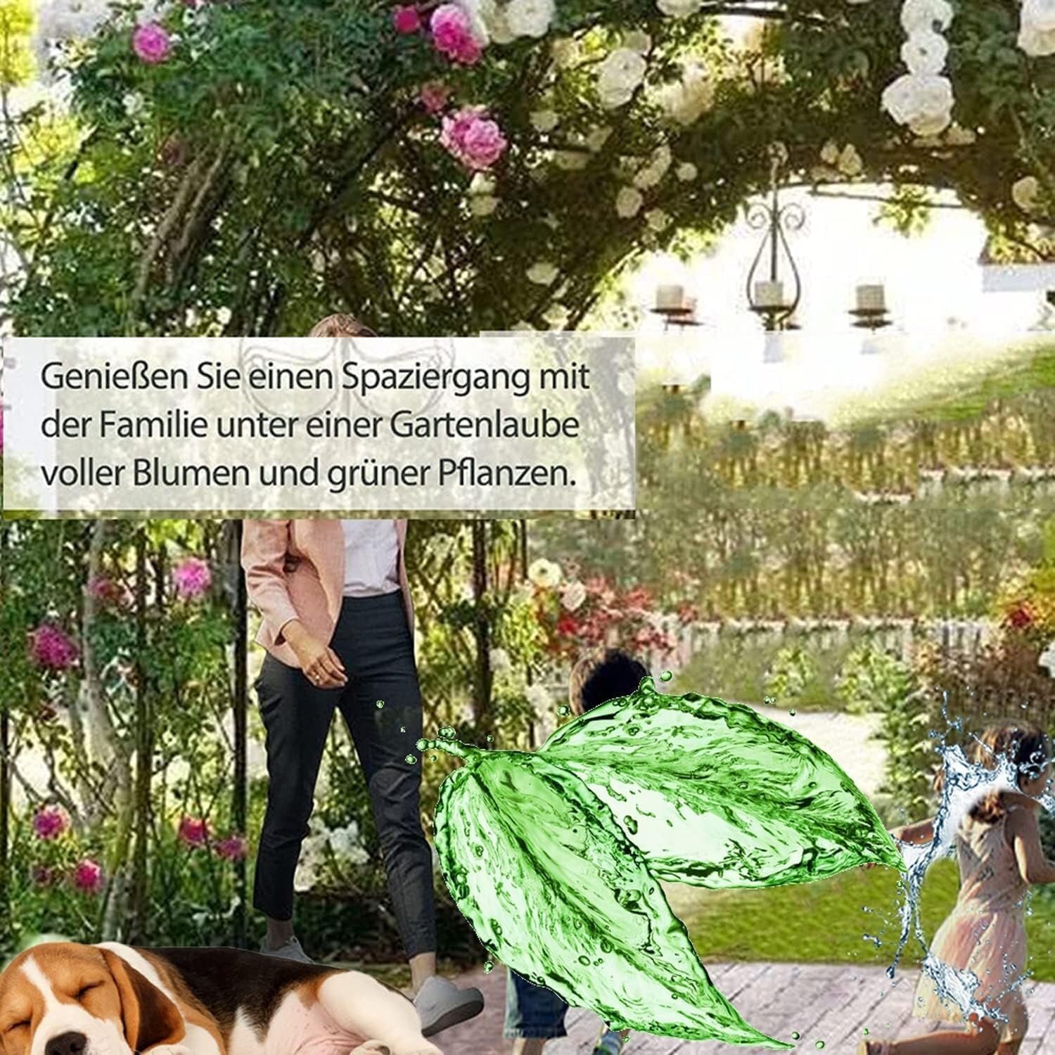 ウエディングフラワーアーチ メタルアーチ背景ブラケット、結婚式