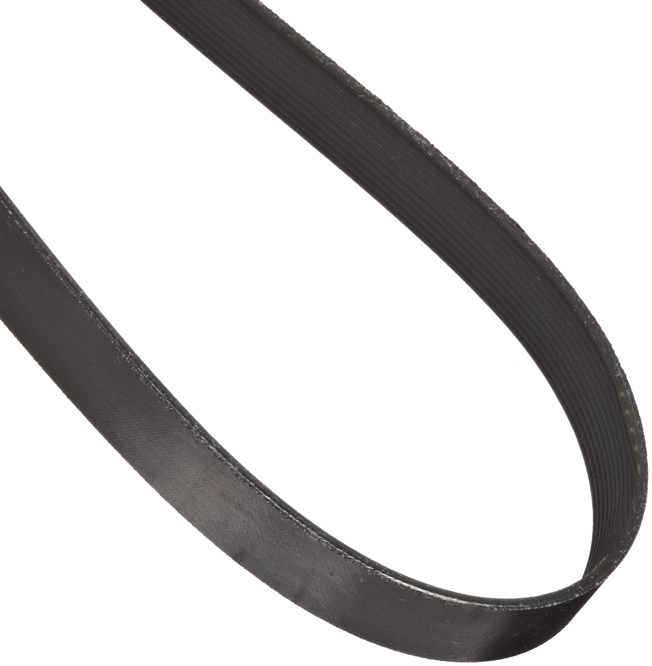 Continental ContiTech, cinghia trapezoidale Poly-V, 920J11, a coste, 11 costole, 0,2 cm di larghezza, 0,4 cm di altezza, 233,7 cm di lunghezza esterna nominale