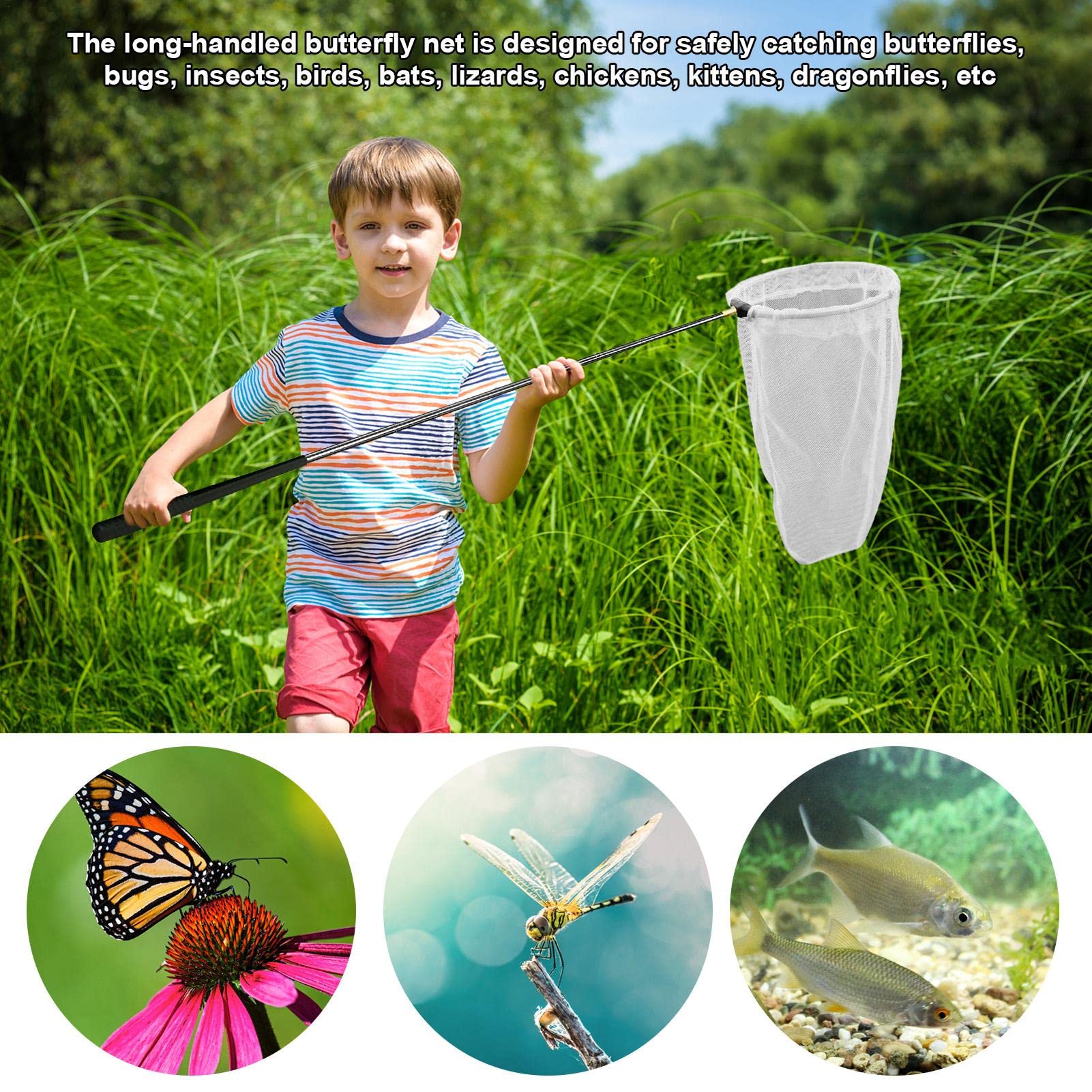 Amazon | 昆虫ネット 虫取り網 昆虫採集 魚取り 虫とり むしとり