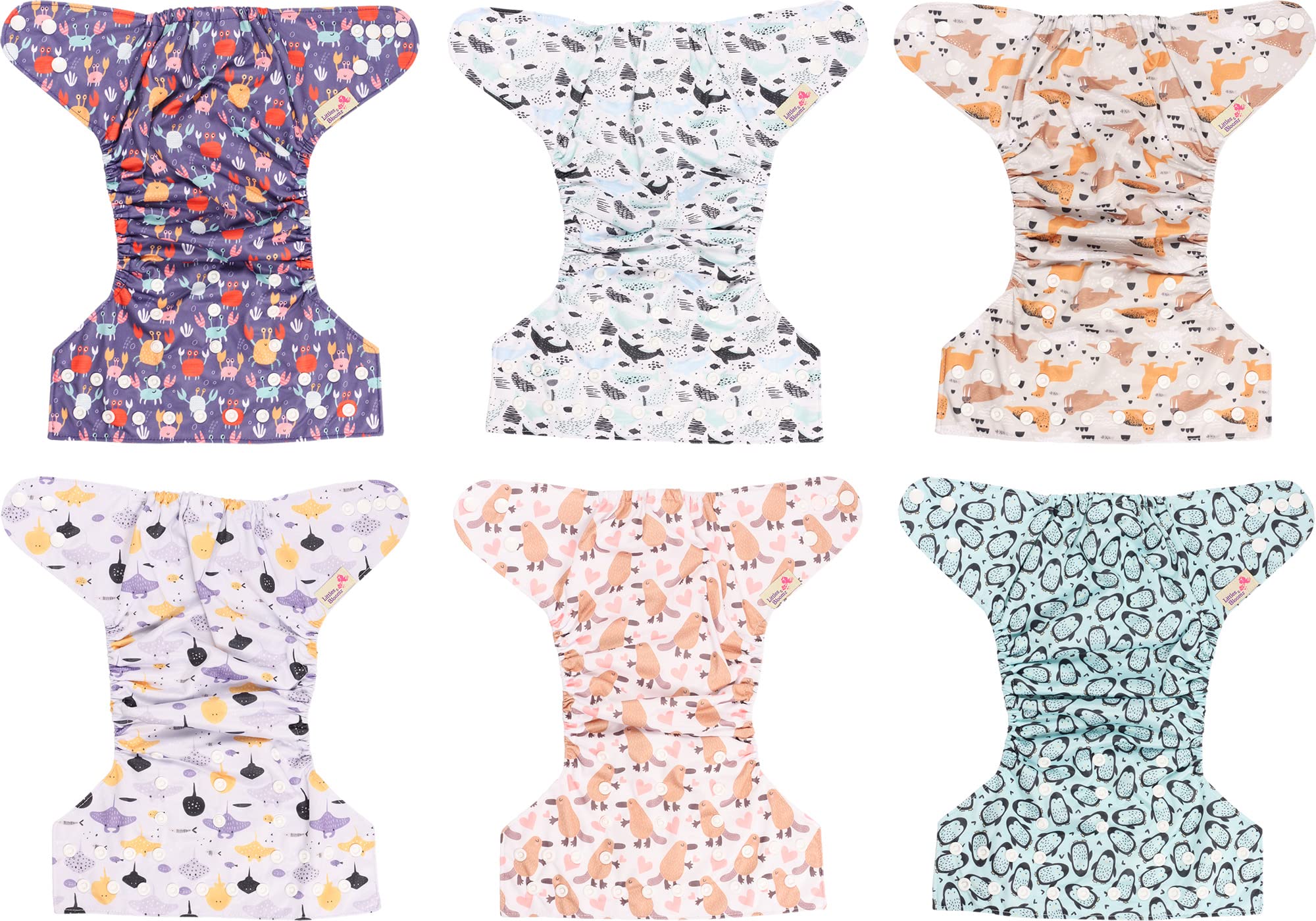 Littles & Bloomz Lot de 6 Bébé Couches Réutilisables en Tissu Couche Lavable à Poche avec Bouton Pression, FLP2-0601 - 5
