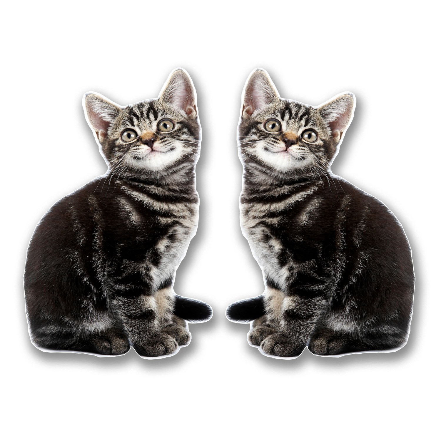 Destinationvinyl Multi 2 X 10Cm Smiling Kitten Cat Vinyl Sticker Decal Laptop Tablet Animal #6300 (6.5Cm Wide X 10Cm Tall)