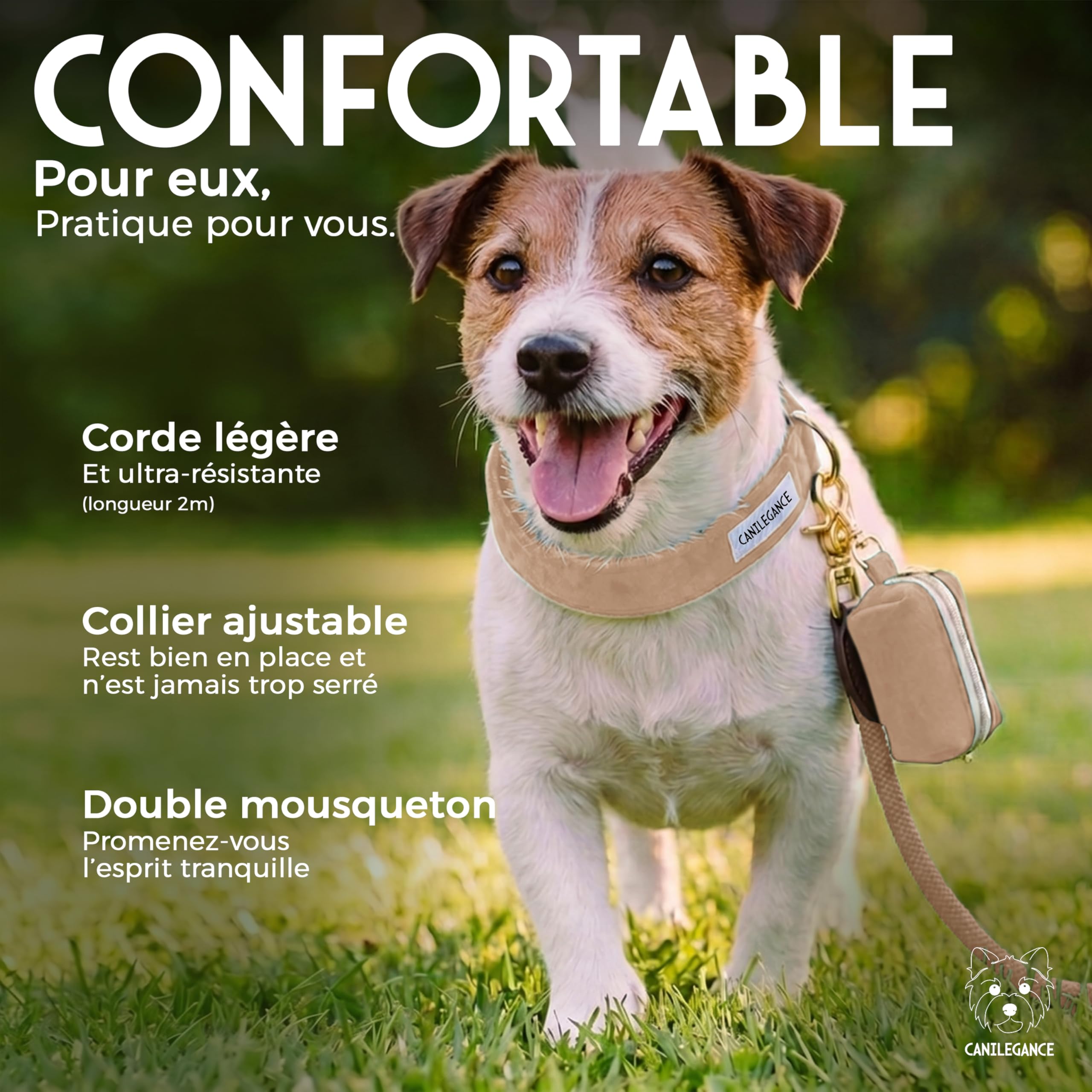 Set de Paseo - Collar ajustable, correa 4 en 1 y cartera - Beige - Talla M