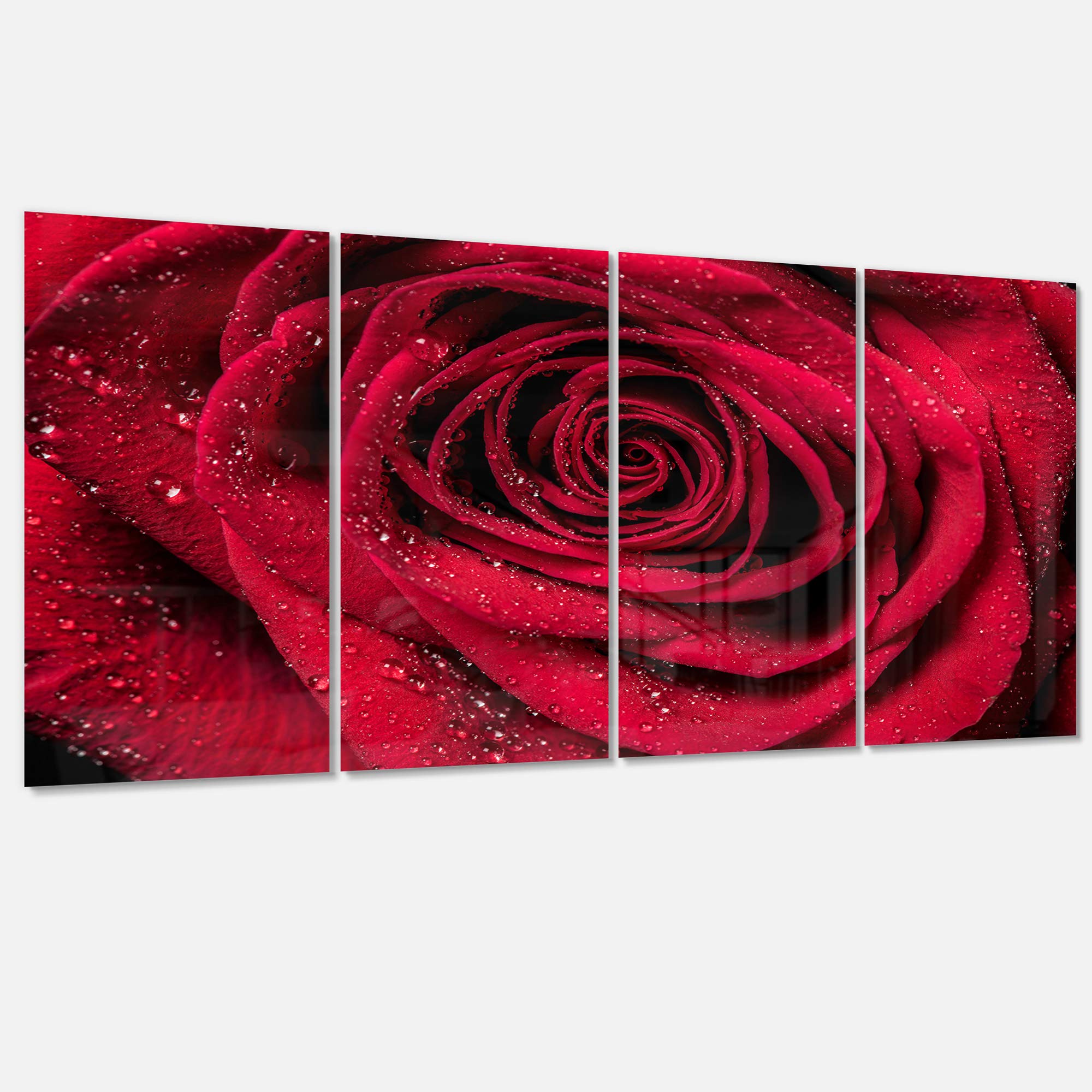 Rain Droplets On Roses