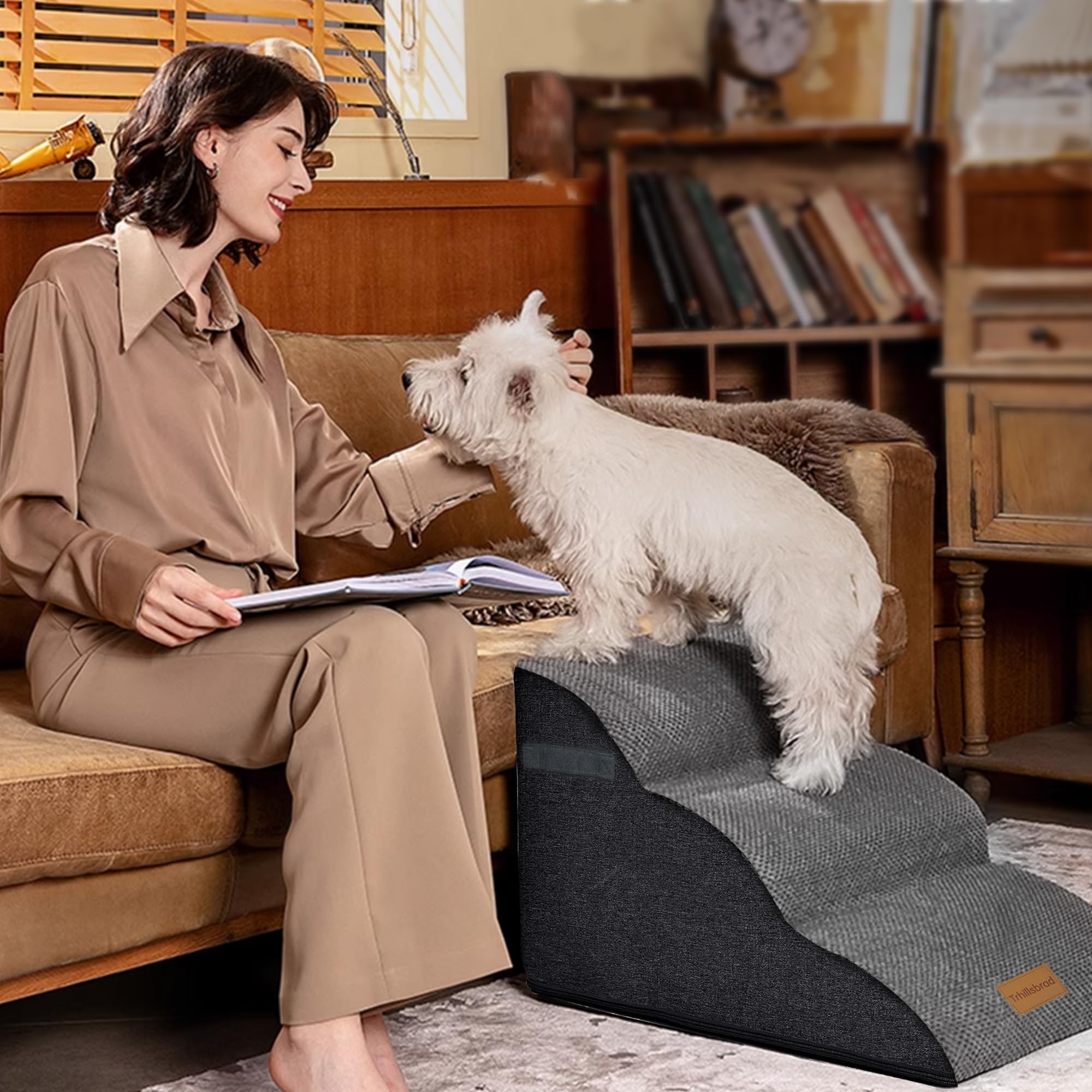 Marchepied pour Chien de 40 cm de Haut pour canapé, 40Wx60Lx40H | Marchepied en mousse pour lit ou fauteuil, escalier antidérapant pour animaux avec housse lavable