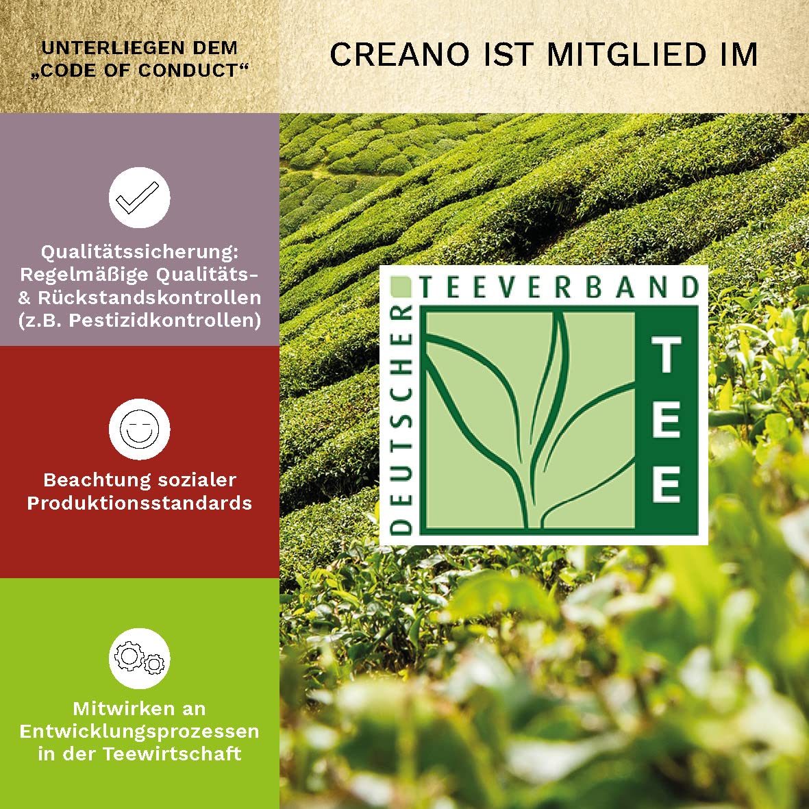 Creano Teeblumen Geschenkset in Teekiste aus Holz 12 Erblühtee in 11 Sorten weißer Tee, grüner Tee, schwarzer Tee, Teerosen, Geschenk für Frauen, Mutter, Teeliebhaber