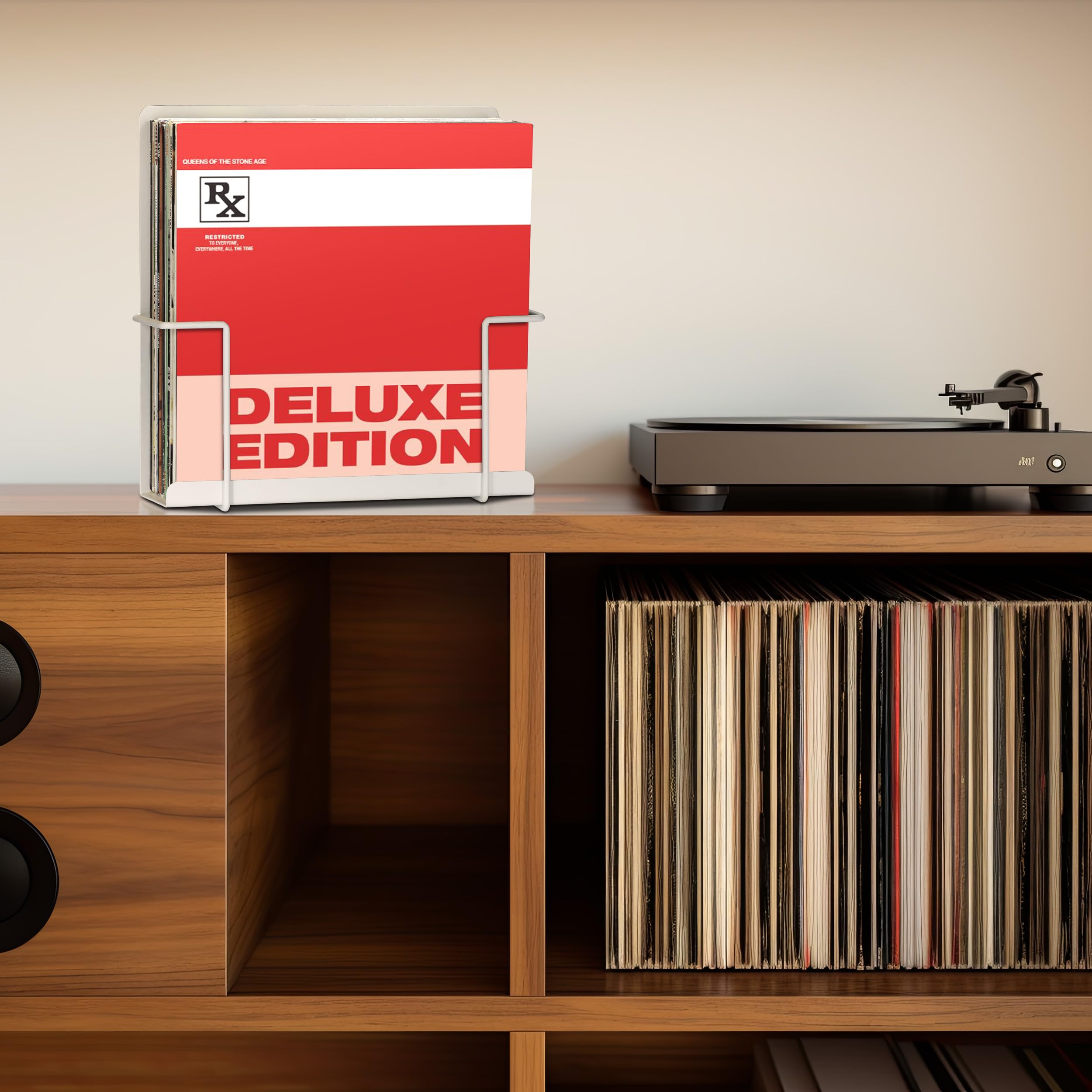 Amazon.com: STOWAX Vinyl Display Holder 2pk - Matte White Record