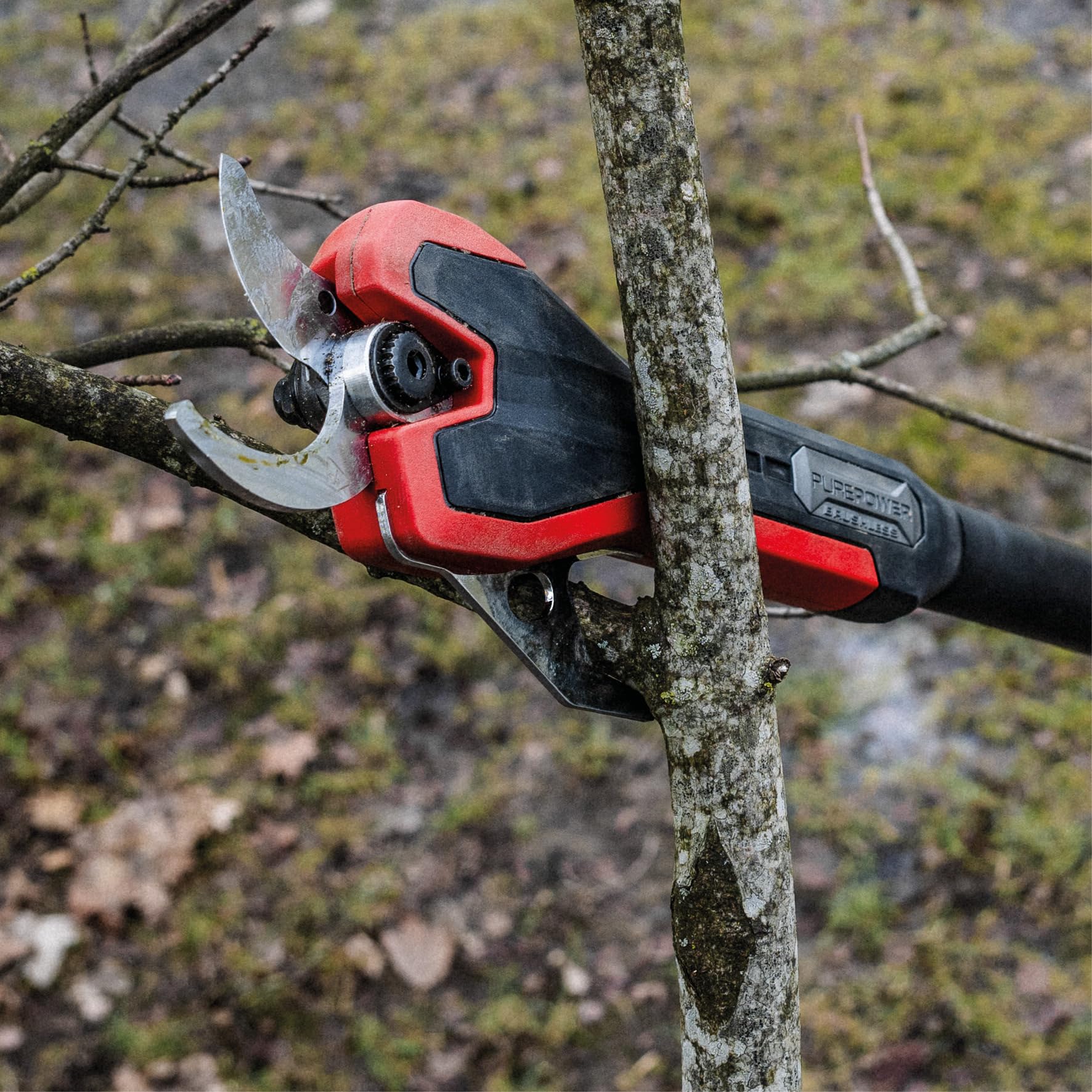 Einhell Professional Akku-Astschere GP-LS 18/35 Li BL Power X-Change (18 V, Brushless, bis 35 mm Aststärke, Bypass-Klingen, Metallhaken, inkl. 4,0 Ah PLUS Akku und Ladgerät)