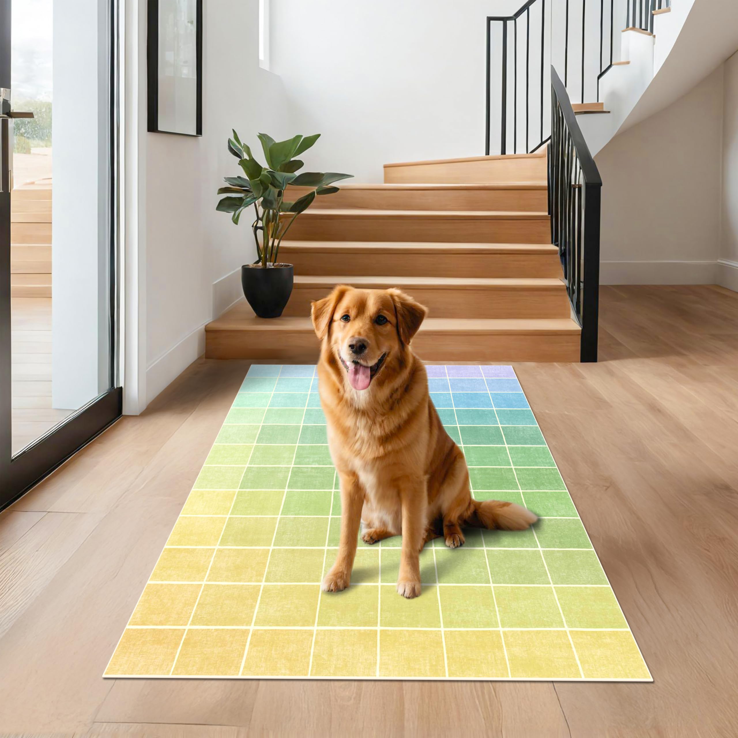 Mid Century Modern Ombre Rainbow Rug 4x6, Green Checkered Retro Eclectic Colorful Contemporary, Washable Area Rugs Non Slip Low Pile for Living Room Kitchen Laundry Bedroom Beside Bed