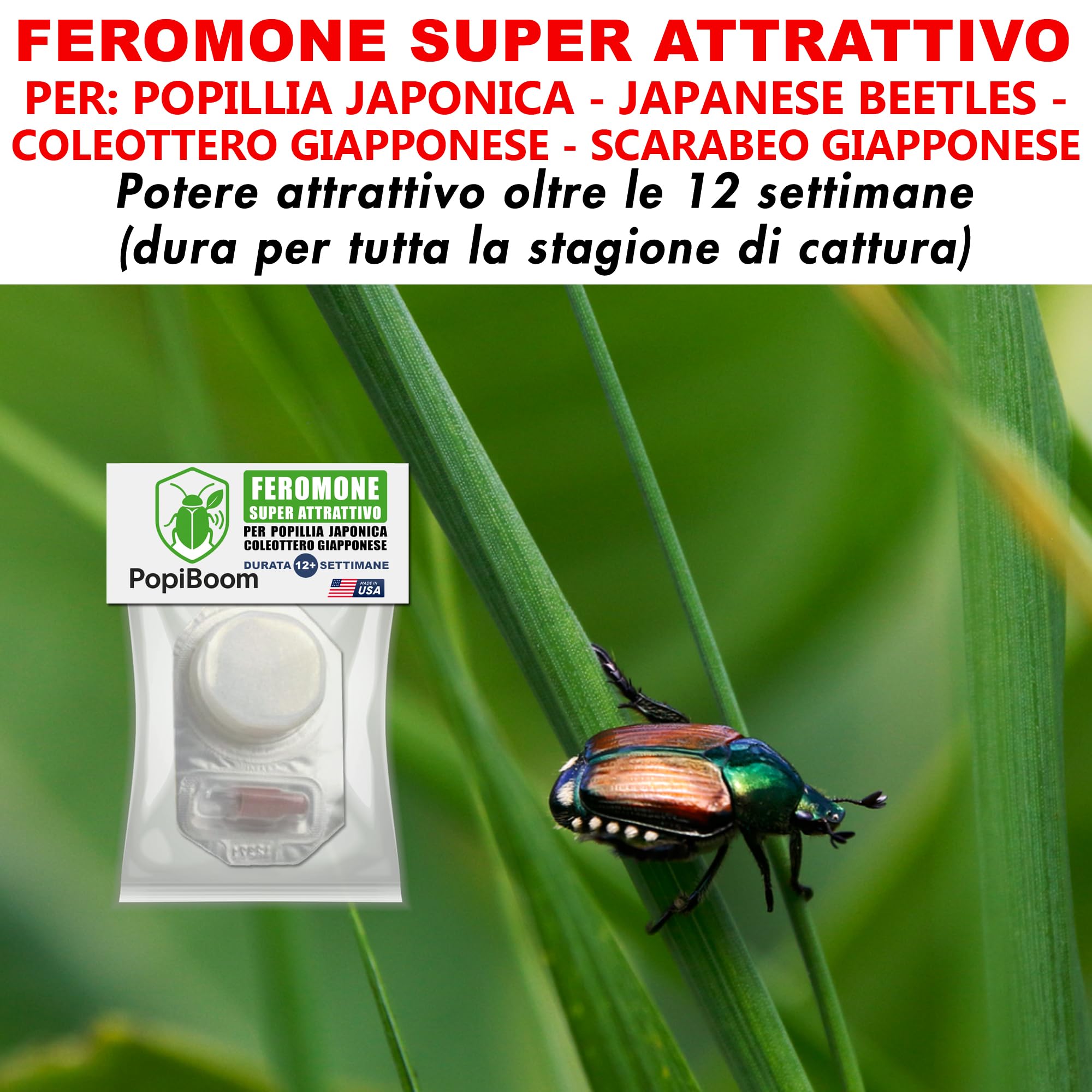 POPIBOOM | Ricarica Feromoni attrattivi per PopillIia Japonica Coleottero Giapponese Scarabeo Giapponese Made in USA. Durata 12+ settimane. Super attrattivo. 1 ricarica (PopillIia Japonica)