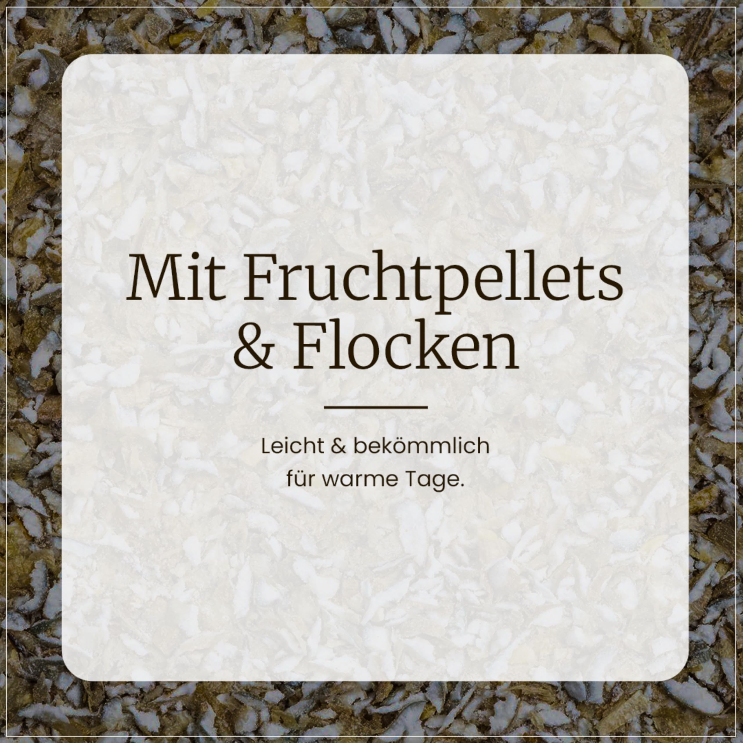 Erdtmanns Sommer-Meisenknödel ohne Netz im Eimer 3 kg – nachhaltige Vogelfütterung mit Fruchtpellets & Getreideflocken – leichte Nahrungsaufnahme – ideal für Sommerfütterung