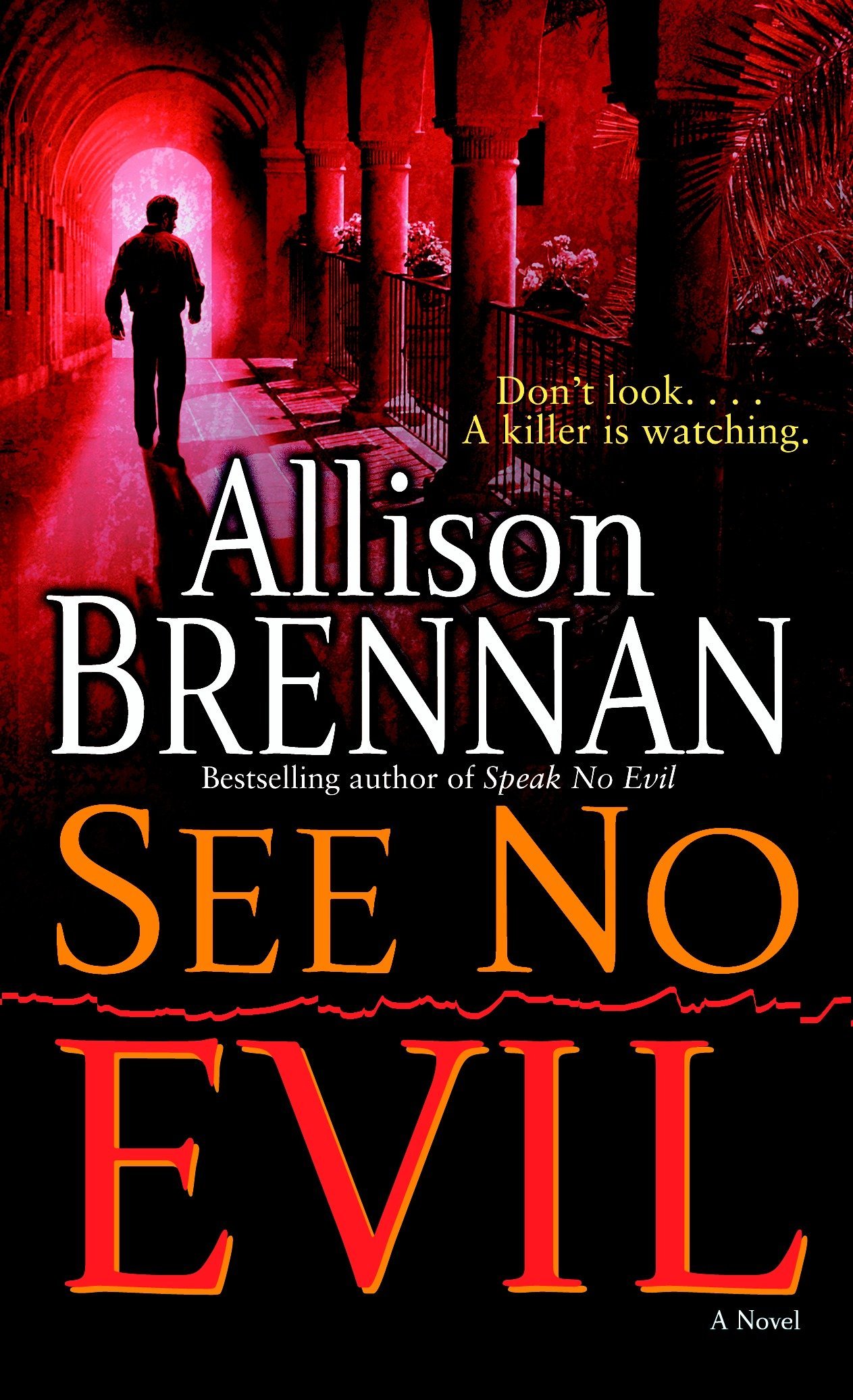 See No Evil: A Novel