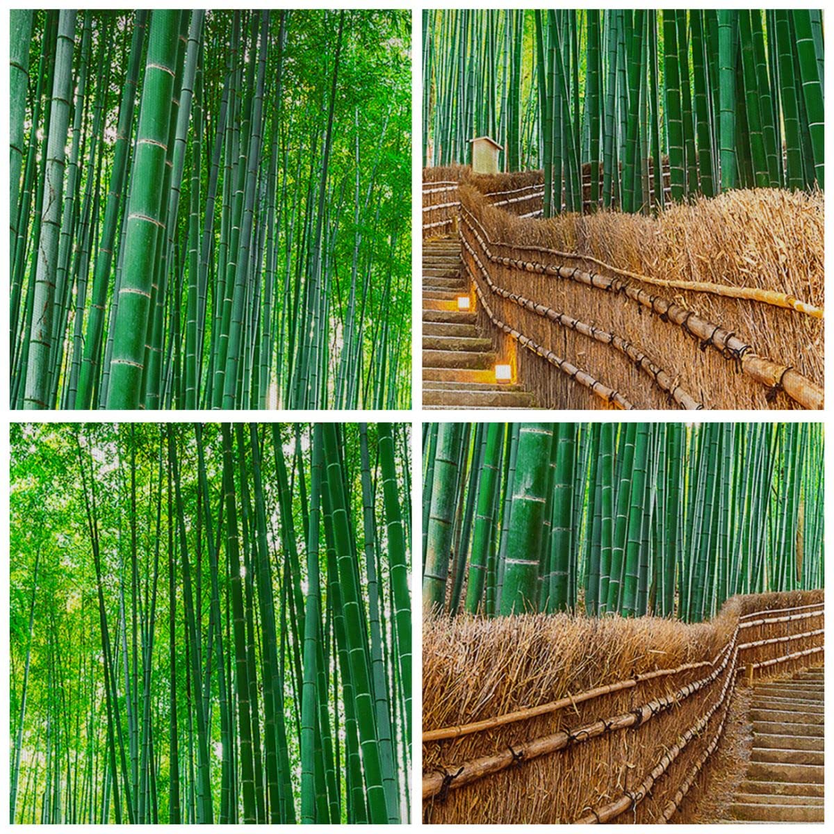 Quadro Su Tela Asiatico Stile Acquerello - Stampe Da Parete 70x50 Cm Con Motivo Bambù, Perfetto Per Soggiorno E Camera