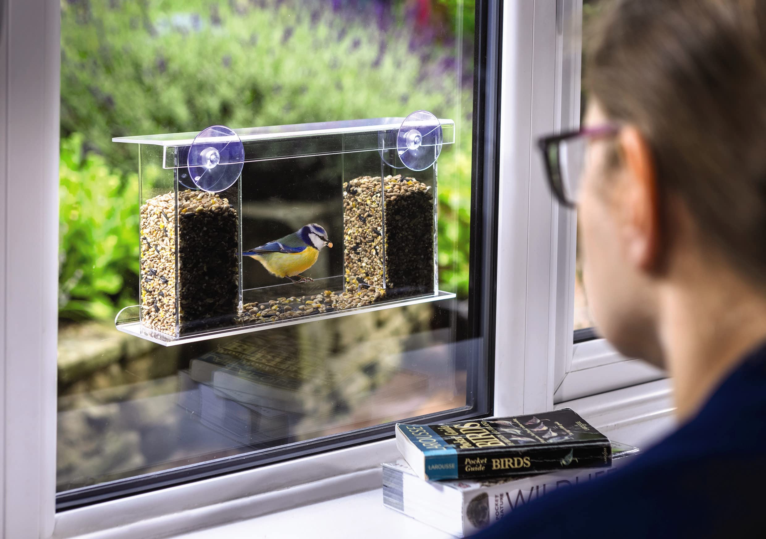 Buy Window Bird Feeder with One Way Mirror Bird Shelf with Food Tray