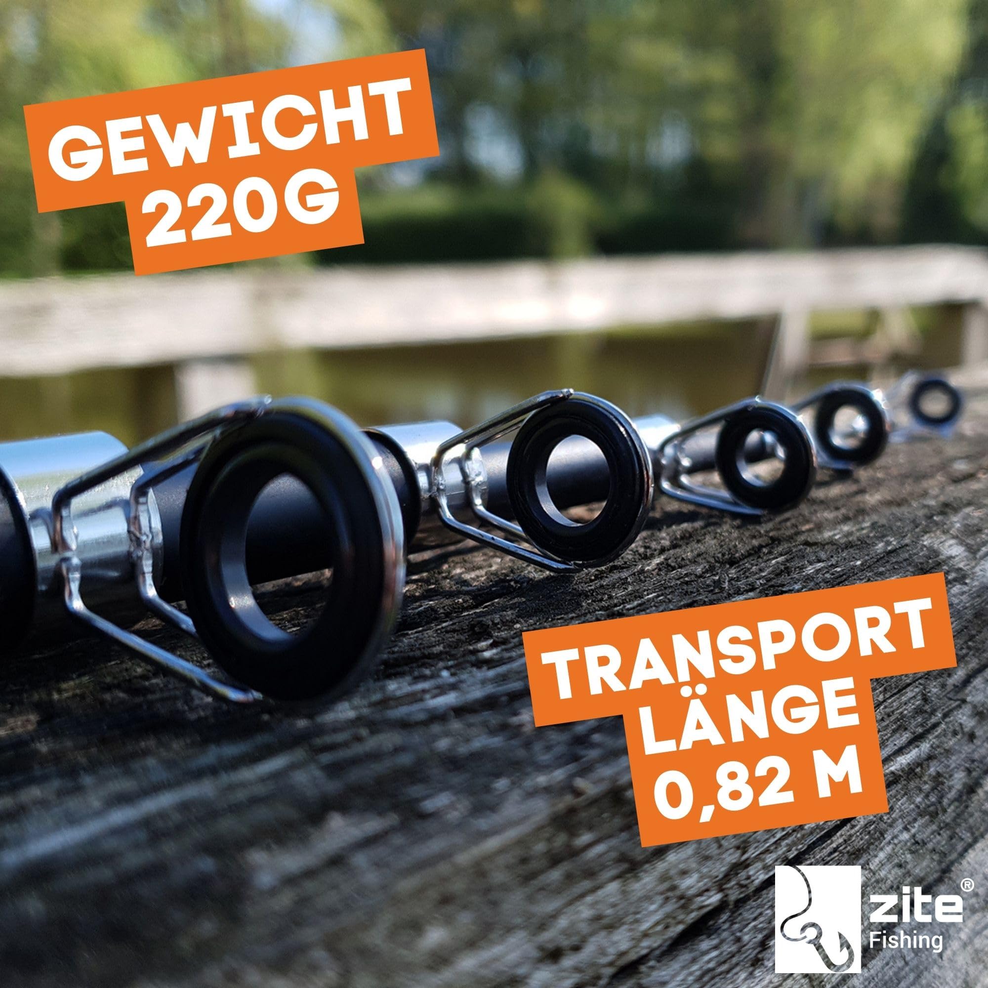 Zite Fishing Angelset Aal-Angeln | Teleskop-Rute, Rolle bespult & Mehr