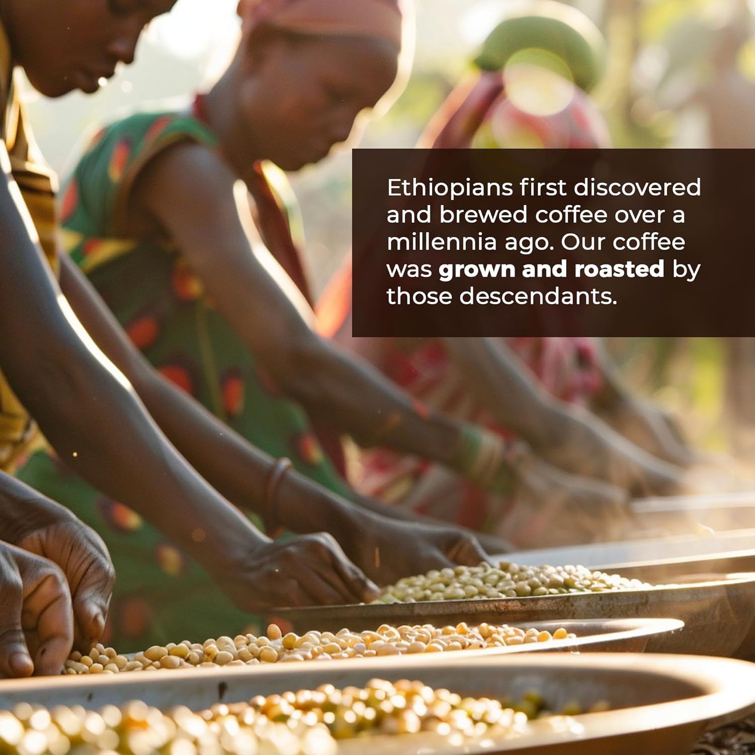 Guzzling Goat Ethiopian Coffee Beans | Premium Medium Roast Coffee Whole Bean | Strong Flavorful Brew | Sourced & Roasted in Ethiopia