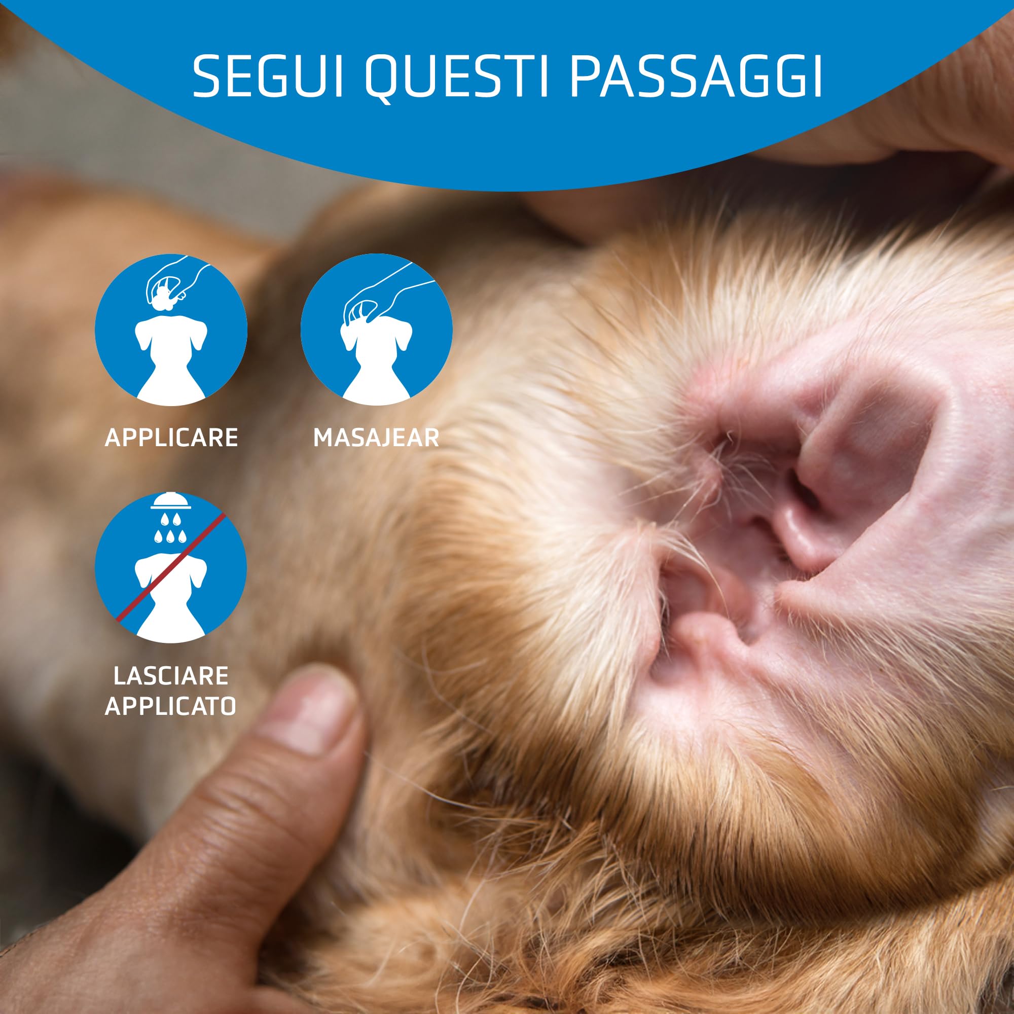 Artero Auriclean Polvere Antisettica per Depilazione Orecchie Cani, Elimina Odori, Facile Applicazione, 30g