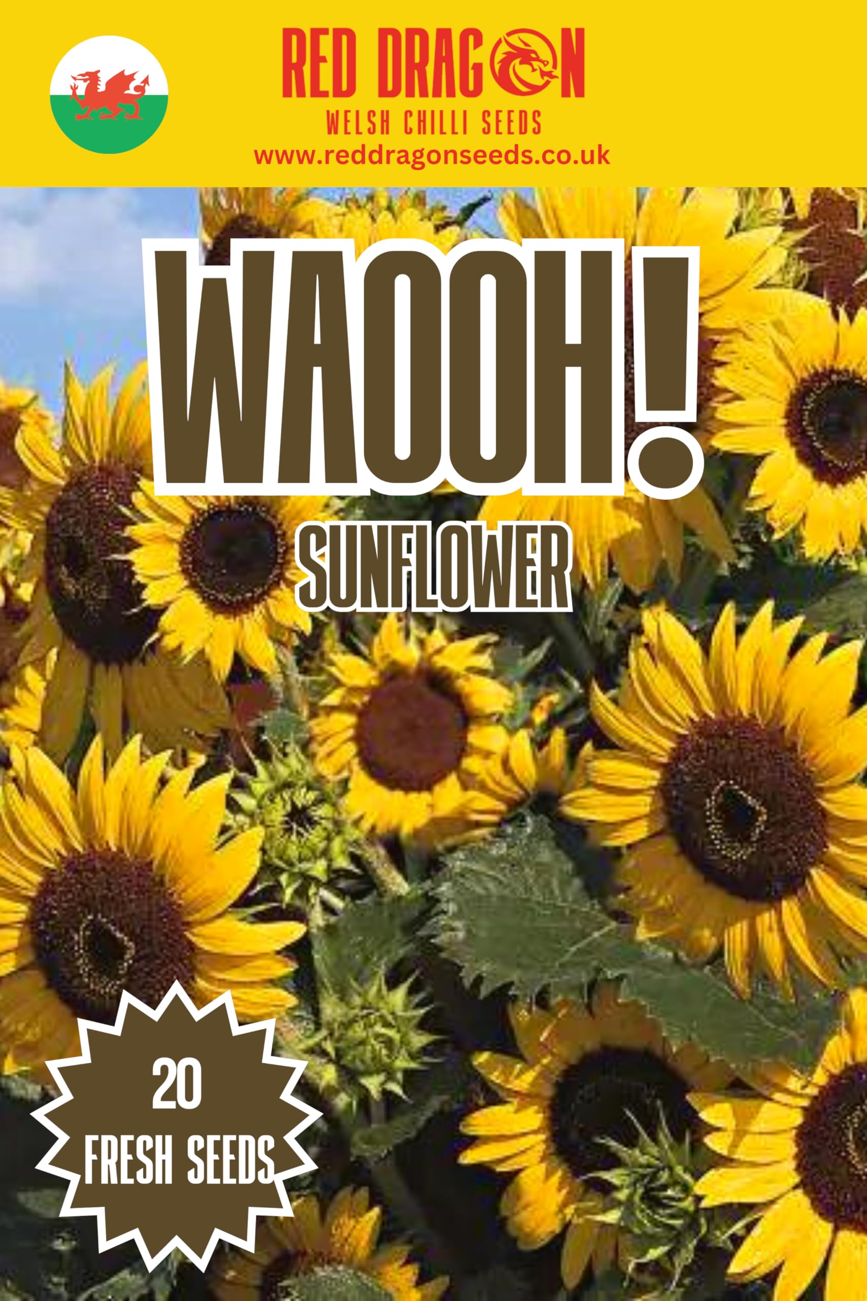 Wahoo! Sunflower Seeds - 20 Fresh Seeds โ image 1