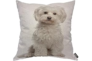 EKOBLA Maltese Throw Pillow Cover: A Cozy Canine Companion for Women
