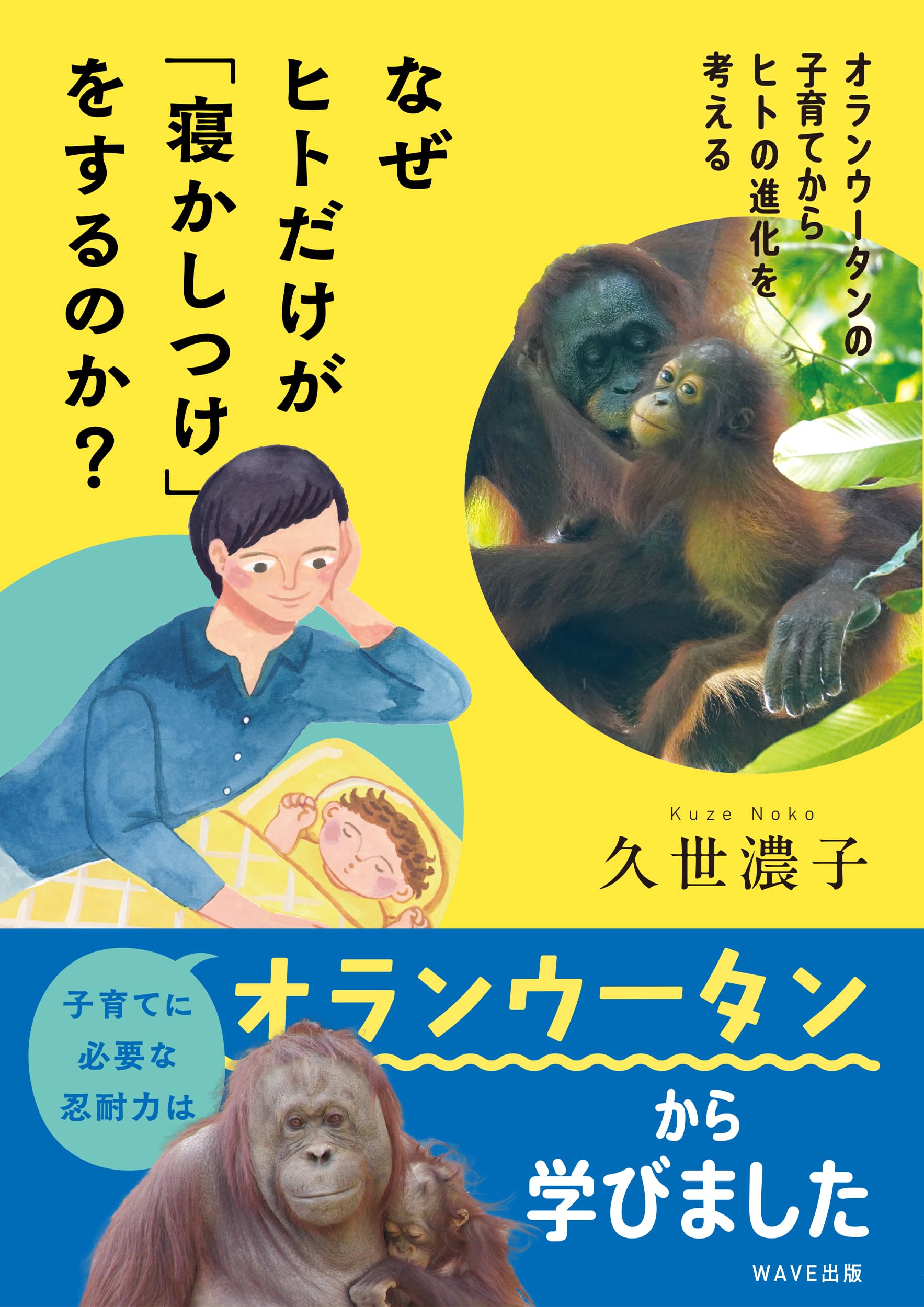 なぜヒトだけが「寝かしつけ」をするのか？ オランウータンの子育て