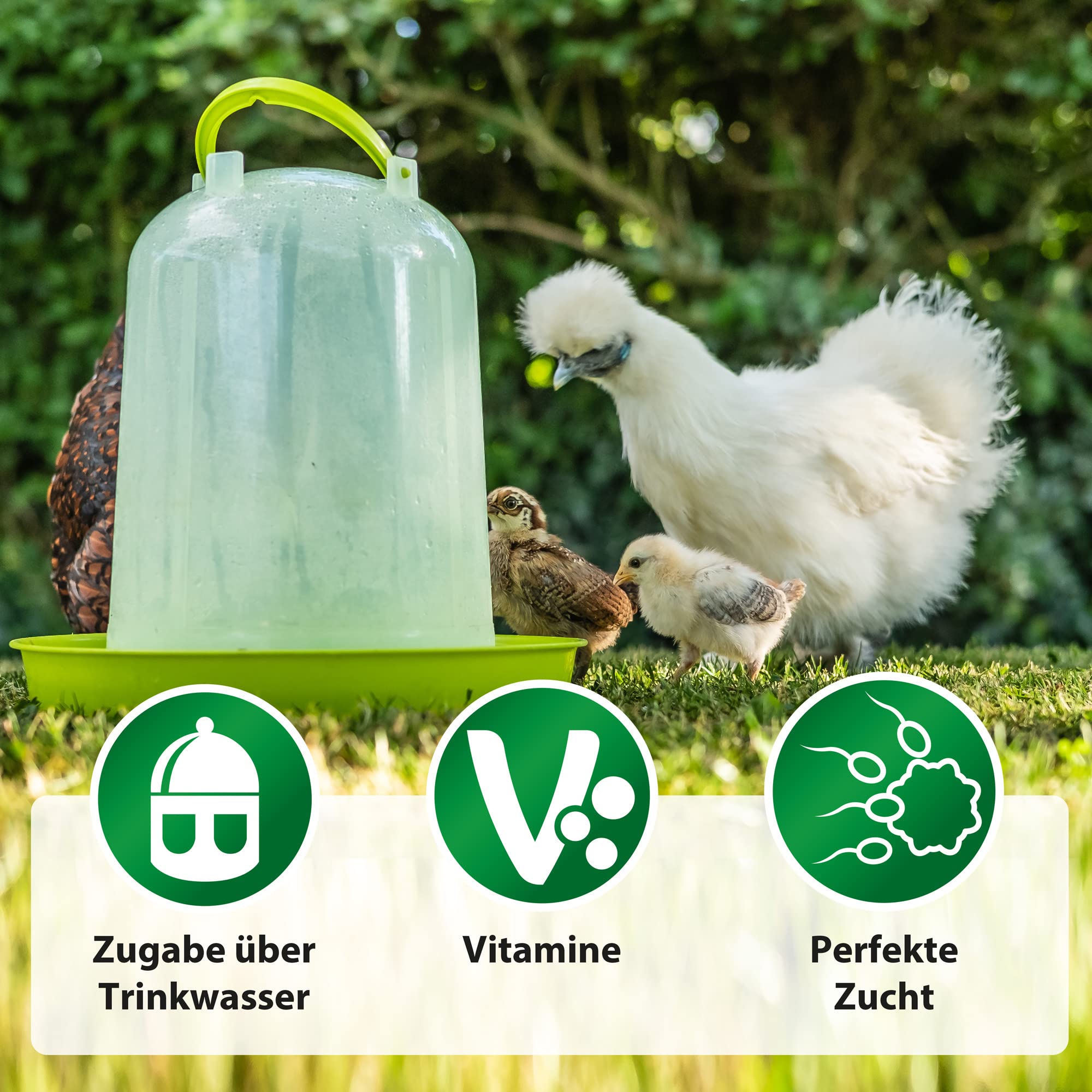 Röhnfried Vitamin ADEC 250 ml | Koncentrat witamin | Suplement paszy dla kur i gołębi