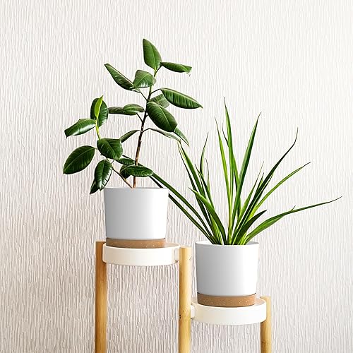 Miniatura 6 de Macetas de plástico de 10 pulgadas, con orificio de drenaje y platillo, un juego de 2 macetas para interiores, exteriores, plantas de casa,