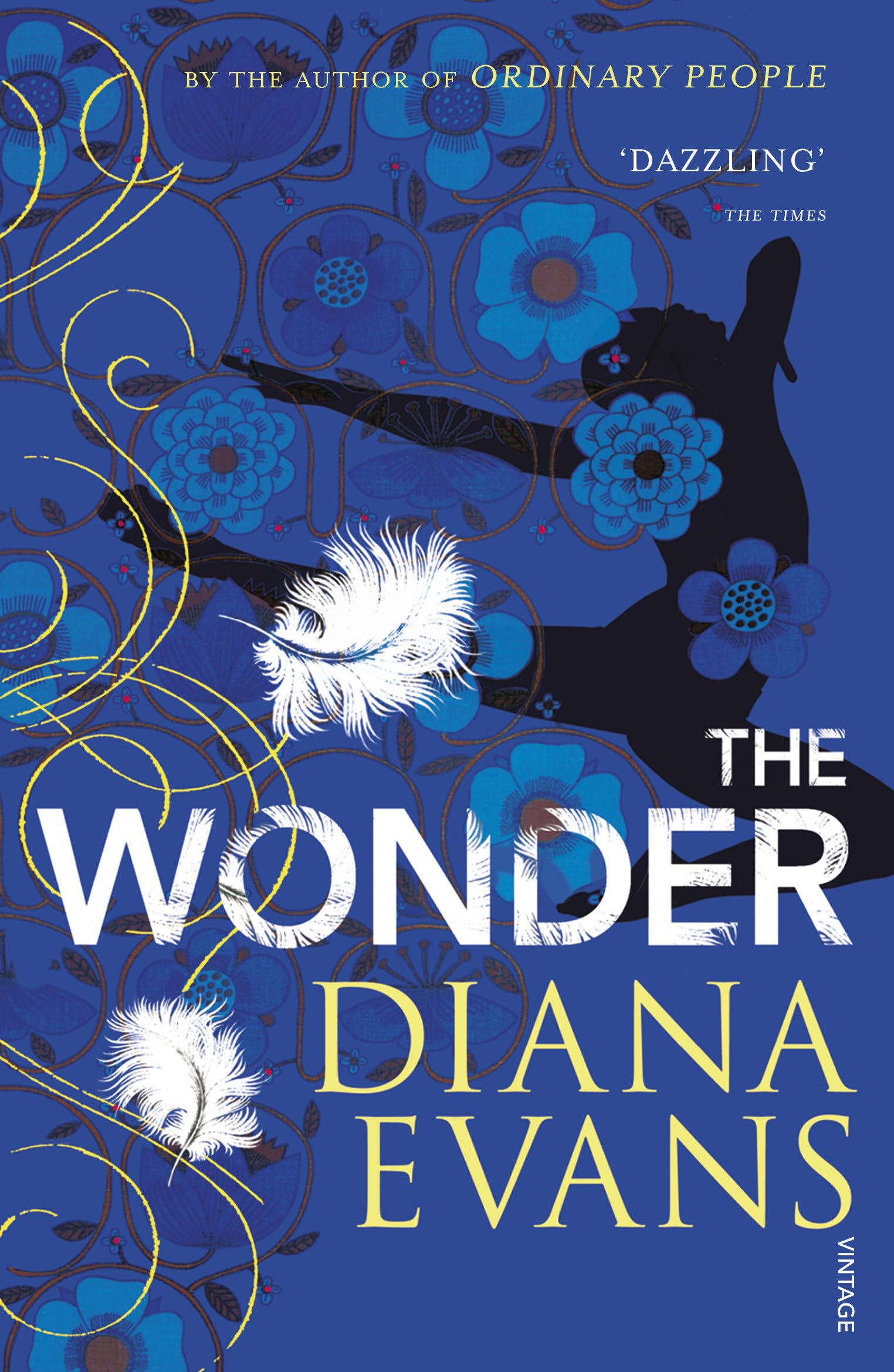 The Wonder By Diana Evans