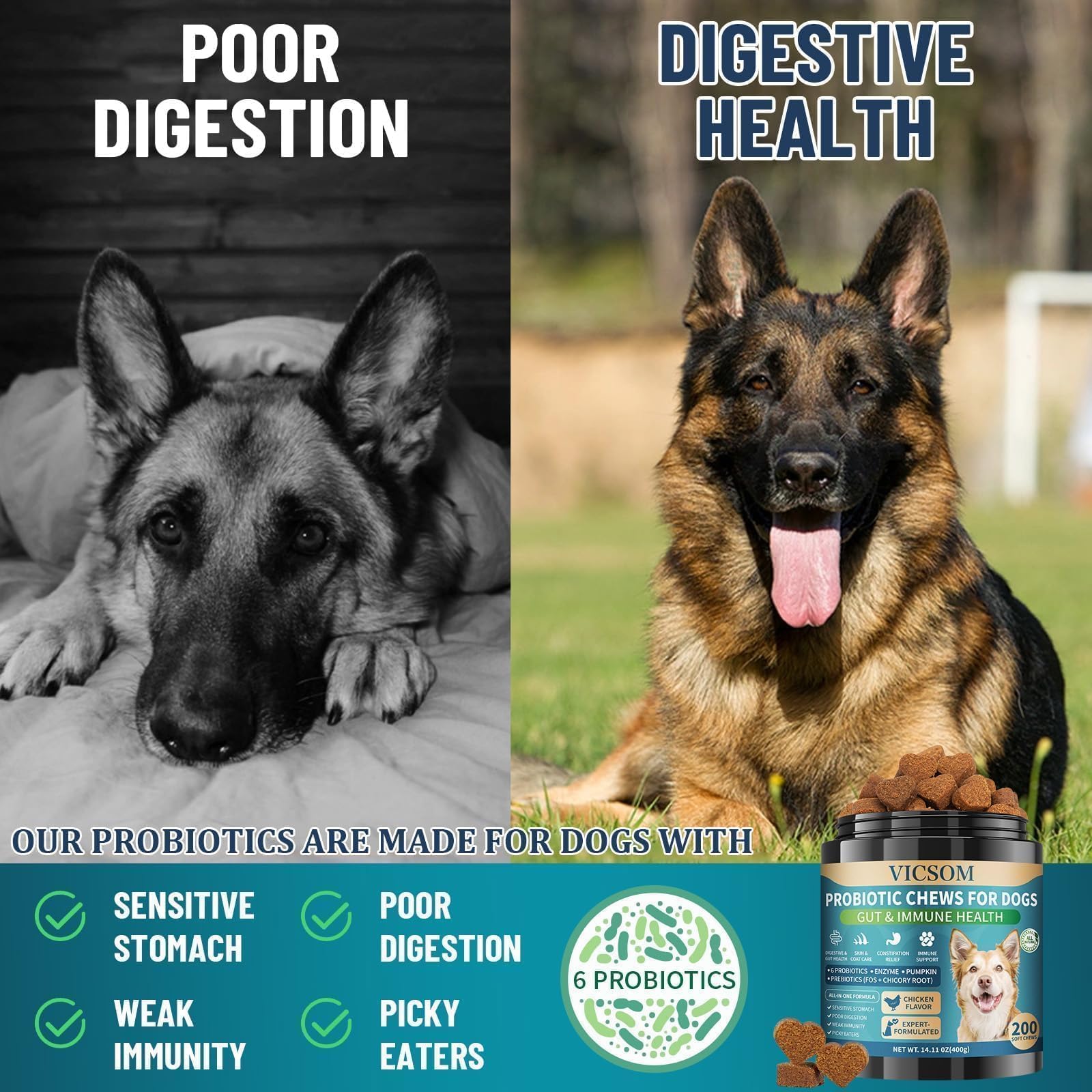 Dog Probiotics for Dogs, 200 Soft Probiotics Chews for Dogs Digestive Health Gut Health & Immune System, with 6 Probiotics & Digestive Enzymes, Support Itchy Skin, Constipation & Diarrhea Relief - image 3
