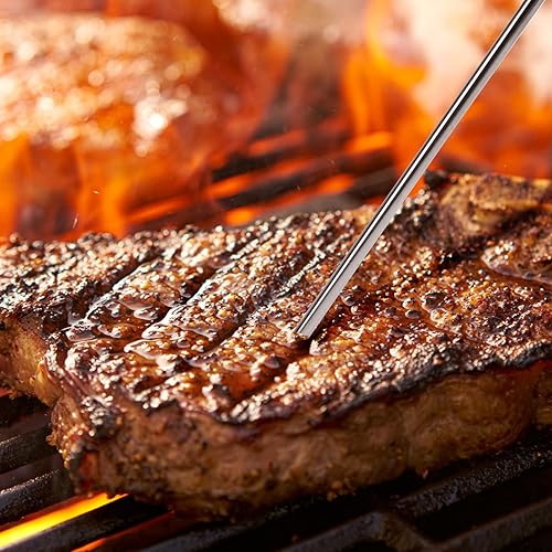 Miniatura 6 de Stanbroil Sonda de carne para parrillas de pellets Pit Bossahumadores, sonda termómetro de enchufe de 0.138 in con alta precisión, 1 paquete